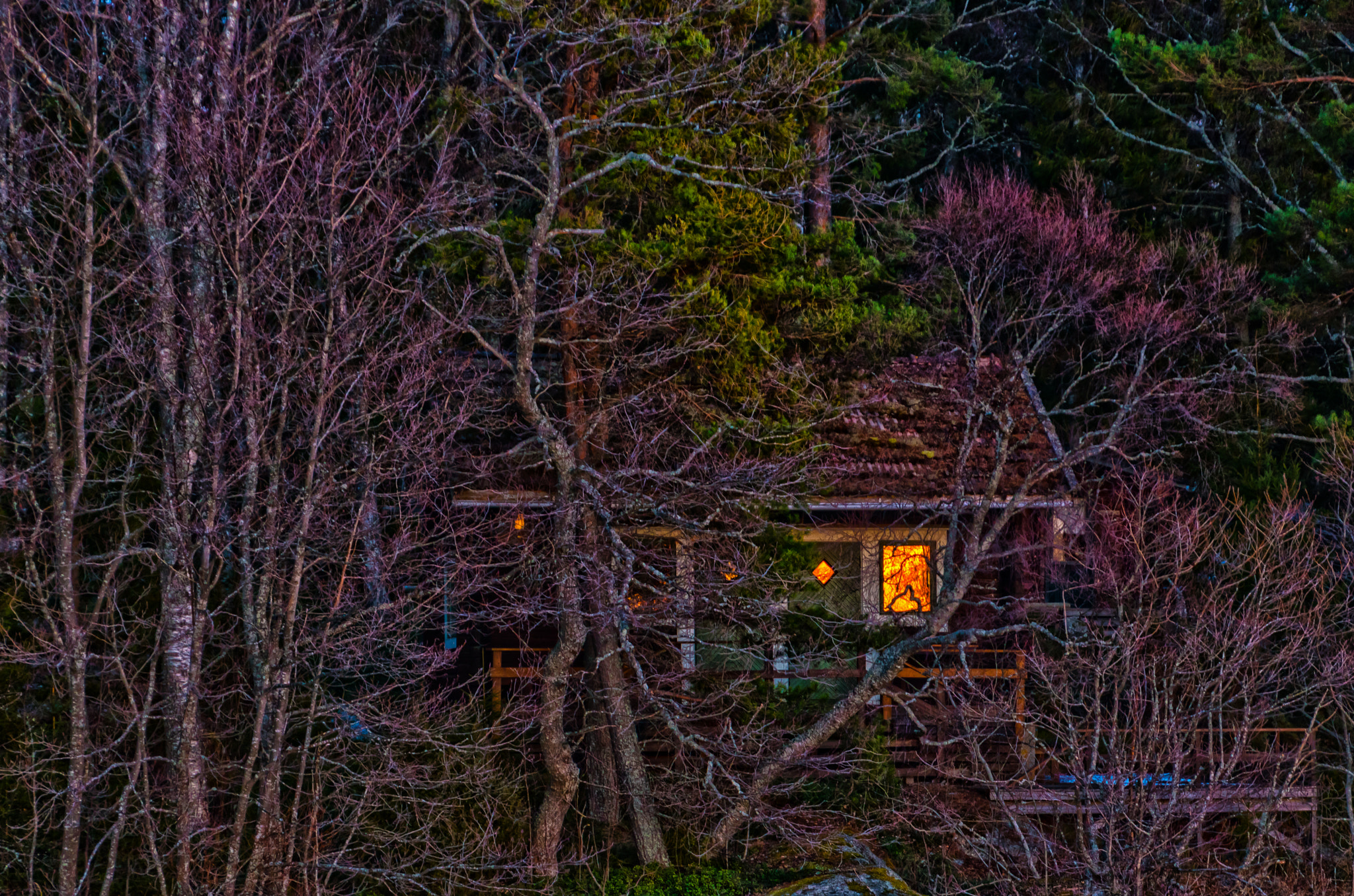 Nikon D5500 sample photo. Vitch's house photography