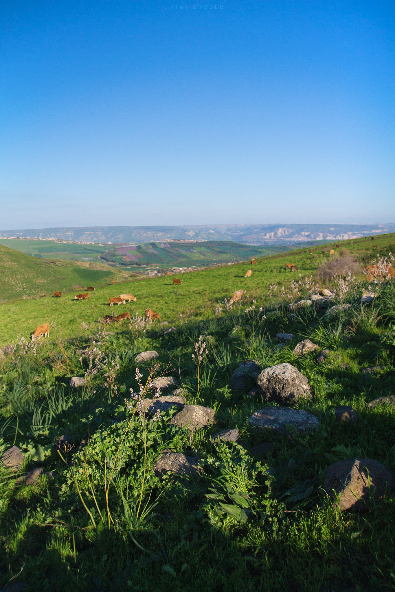Canon EF-S 17-55mm F2.8 IS USM sample photo. Ein sharona trail photography