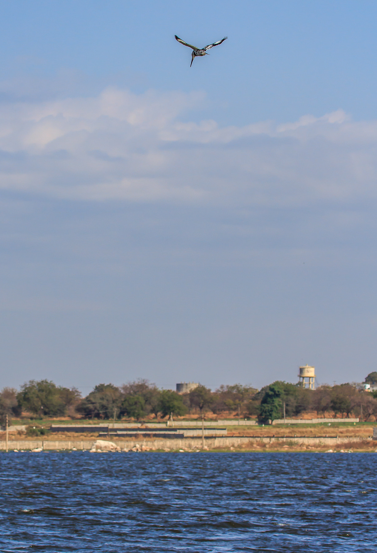 Canon EF 100-400mm F4.5-5.6L IS USM sample photo. () photography
