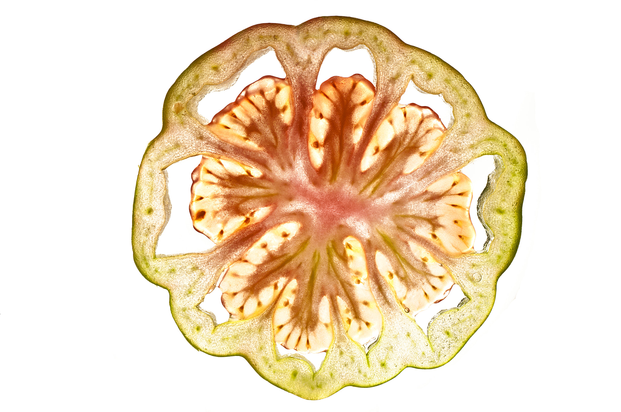 Nikon D300S sample photo. Tomato slice photography