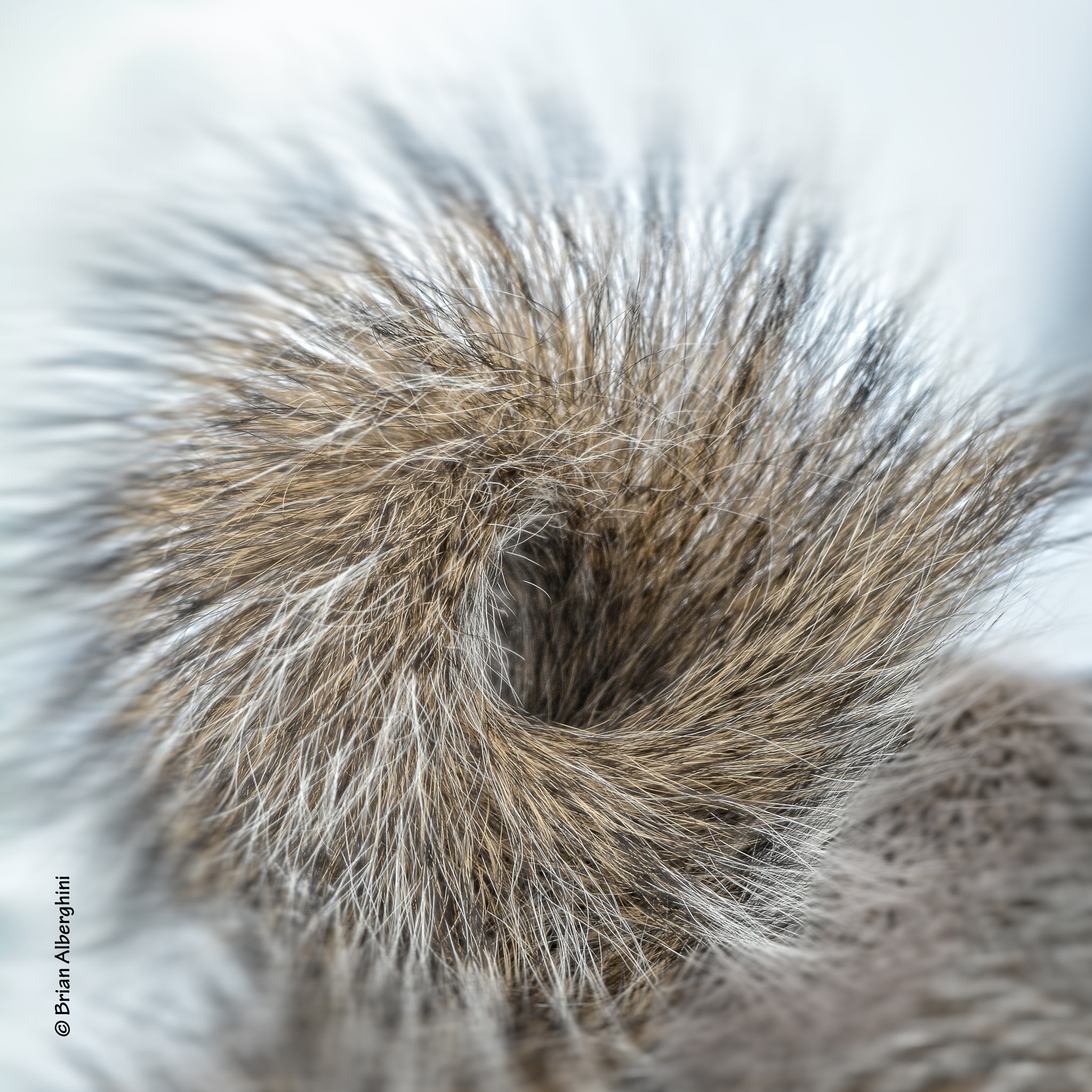 Sigma 150-500mm F5-6.3 DG OS HSM sample photo. Into the vortex photography