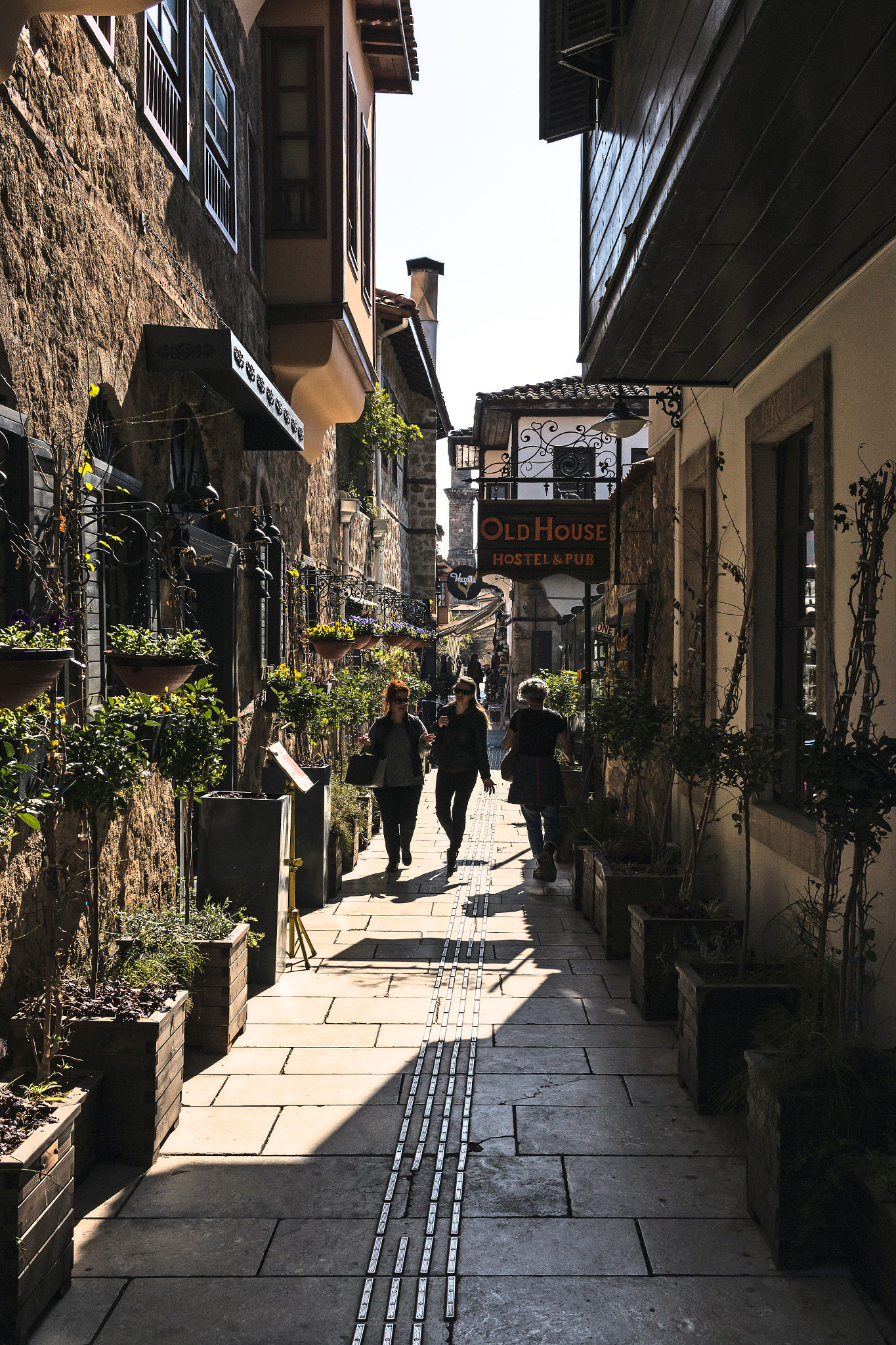 Canon EF-S 24mm F2.8 STM sample photo