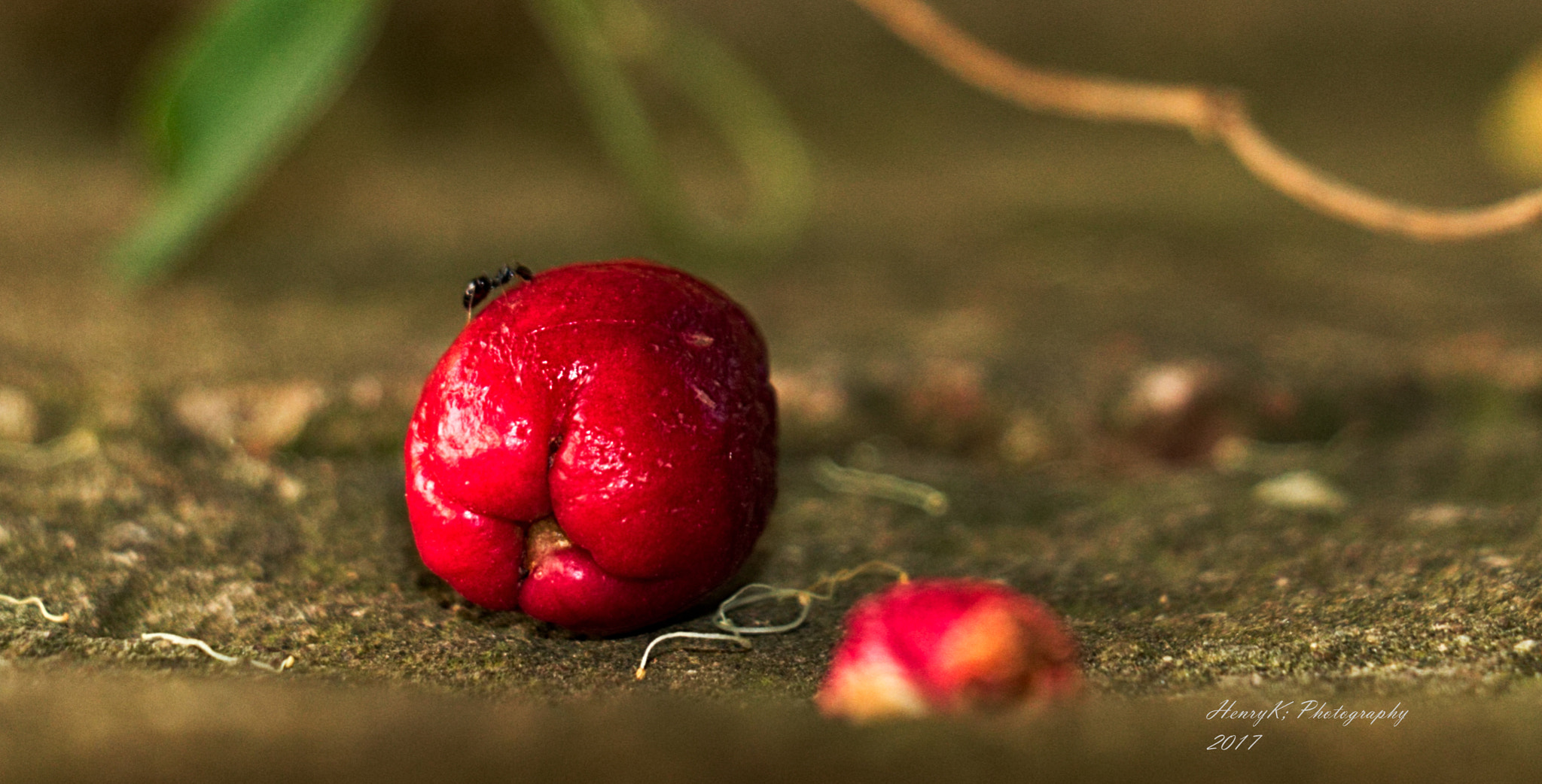 18.0 - 135.0 mm sample photo. On top photography