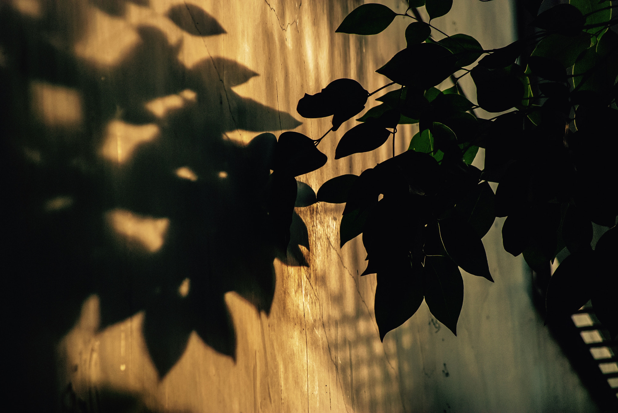 Nikon D80 sample photo. Untitled photography