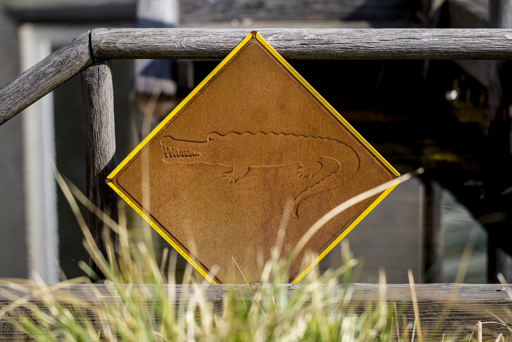 Canon EF 100mm F2.8L Macro IS USM sample photo. Bathing at your risk! photography