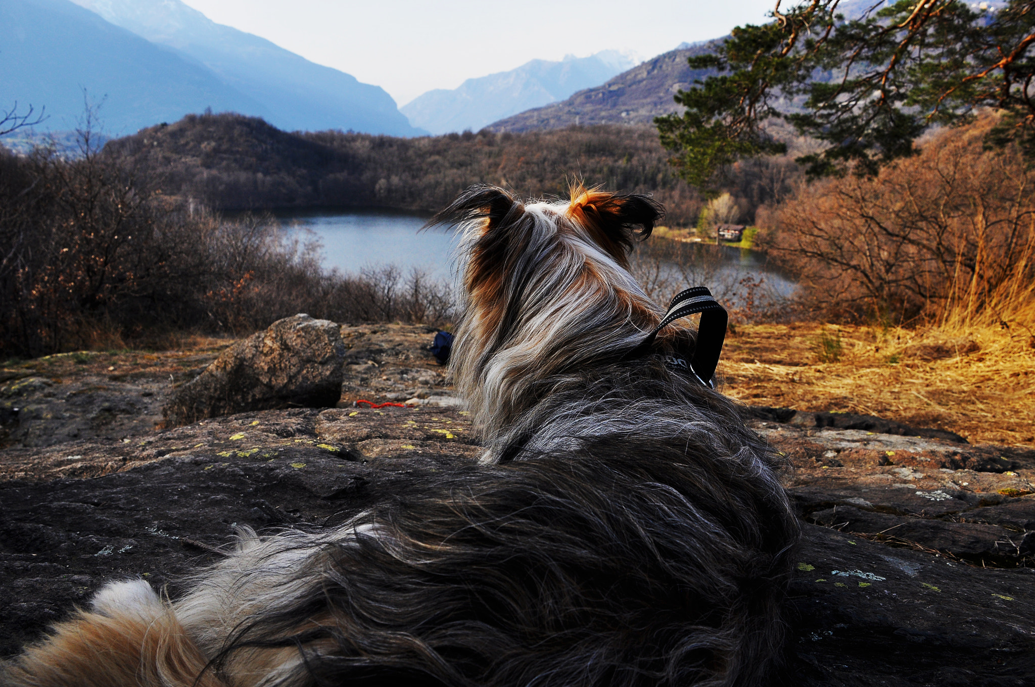 Nikon D90 sample photo. I want something just like this photography