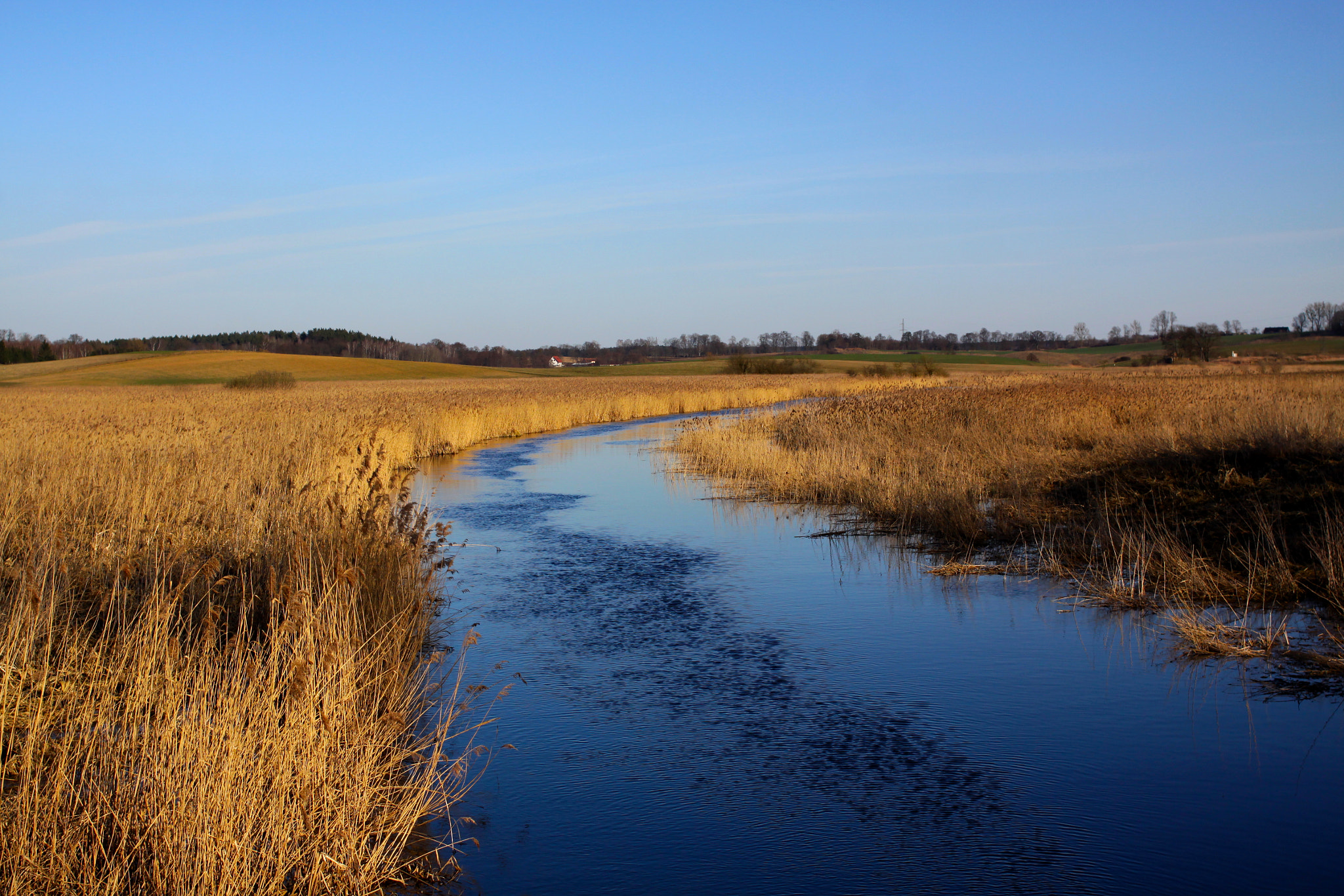 Canon EOS 50D sample photo. Gold&blue photography