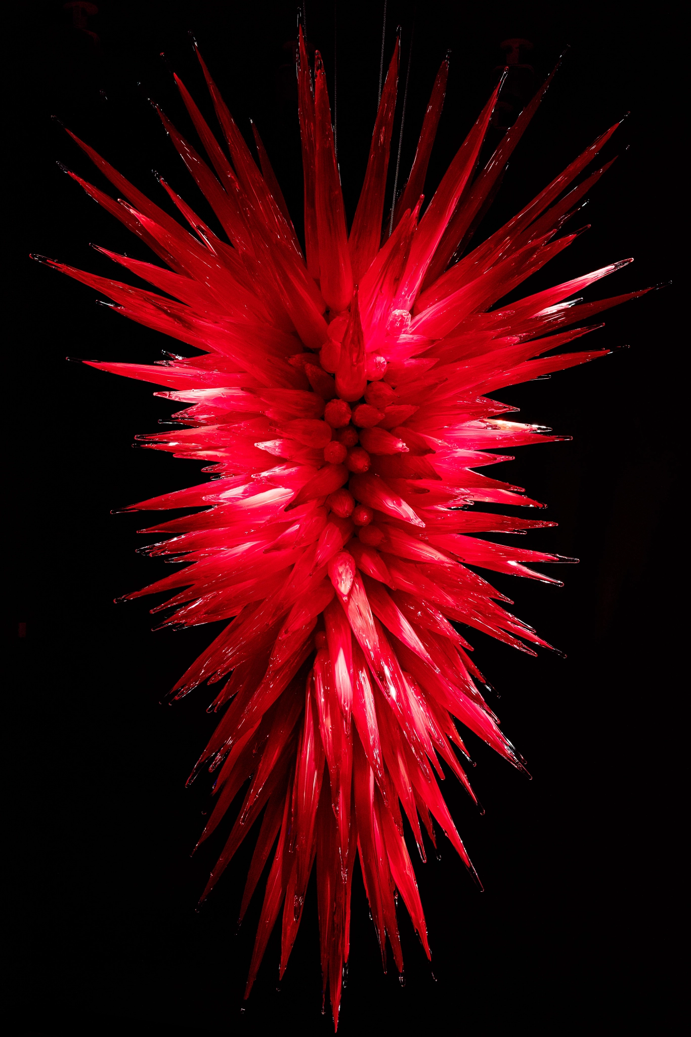 Canon EOS 5DS R sample photo. Star burst photography