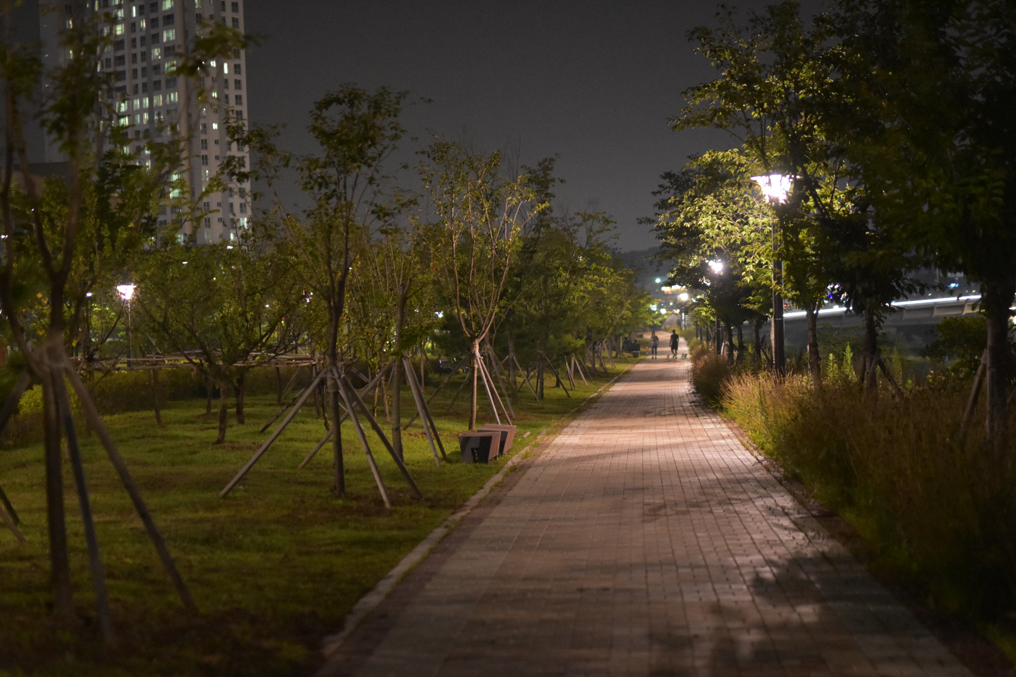 Nikon D7200 + Sigma 50mm F1.4 DG HSM Art sample photo. Evening walk photography