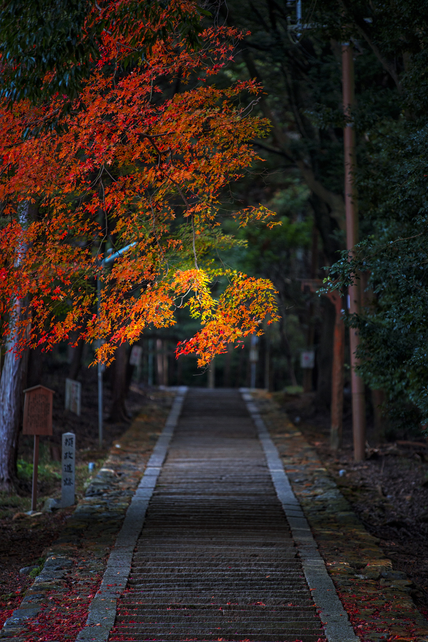 Sigma 70-200mm F2.8 EX DG OS HSM sample photo. Japanese landscape photography