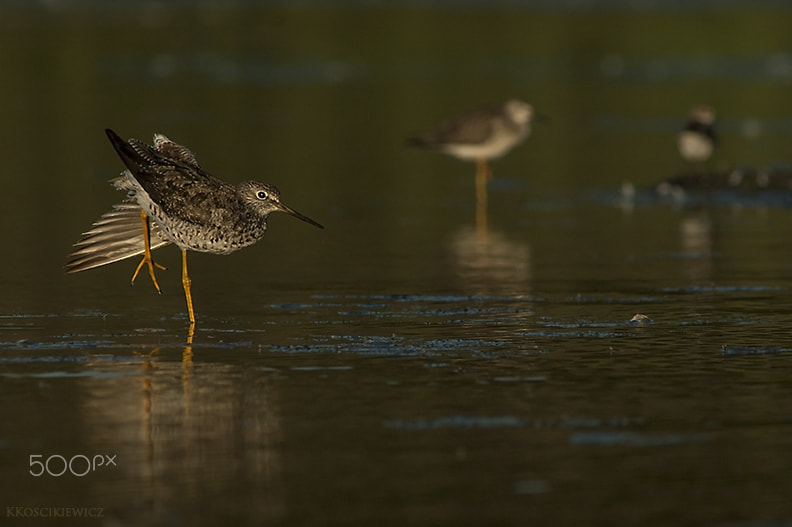 Nikon AF-S Nikkor 300mm F2.8G ED VR II sample photo. One leg competition photography