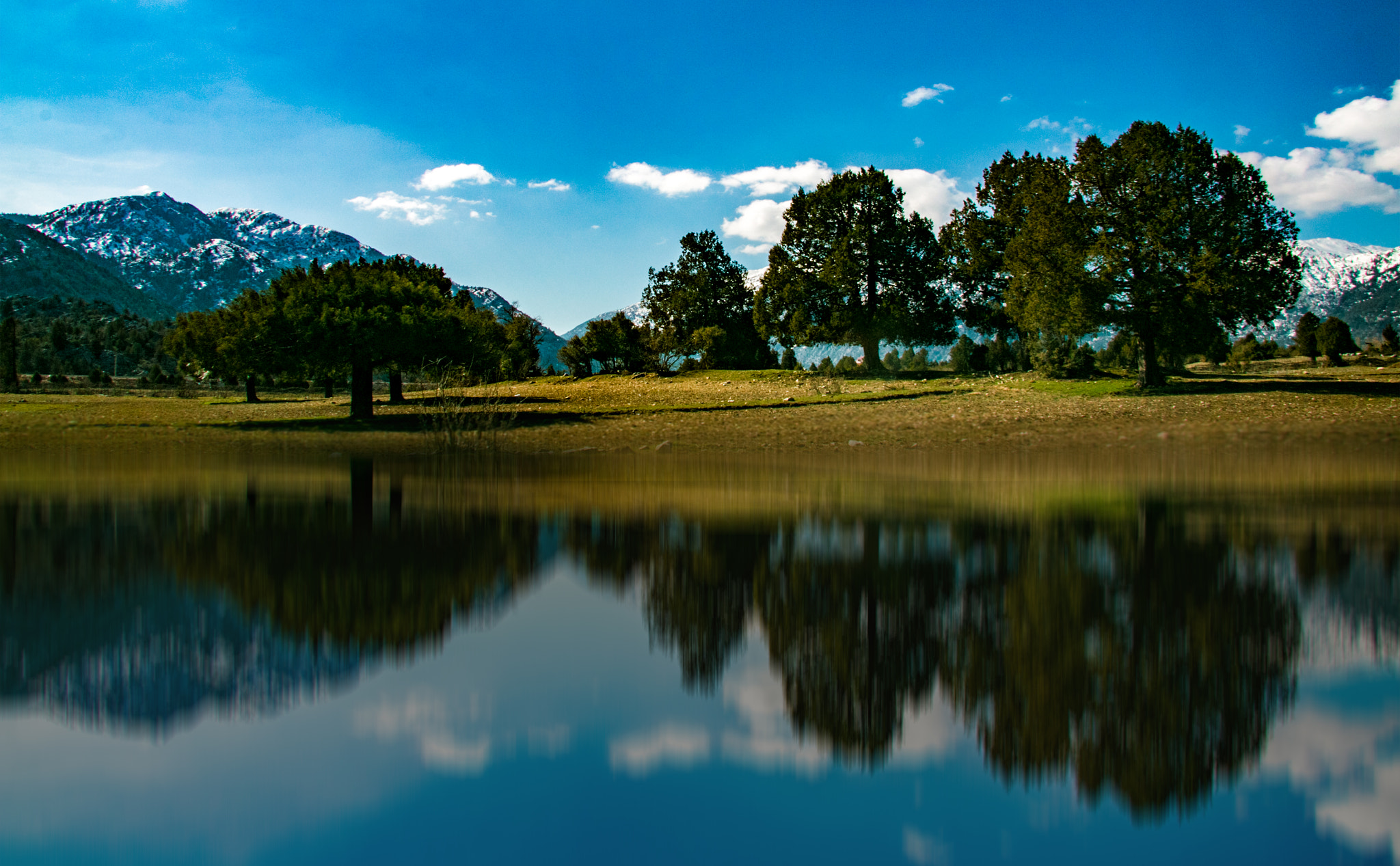 Canon EF-S 17-85mm F4-5.6 IS USM sample photo. Img photography