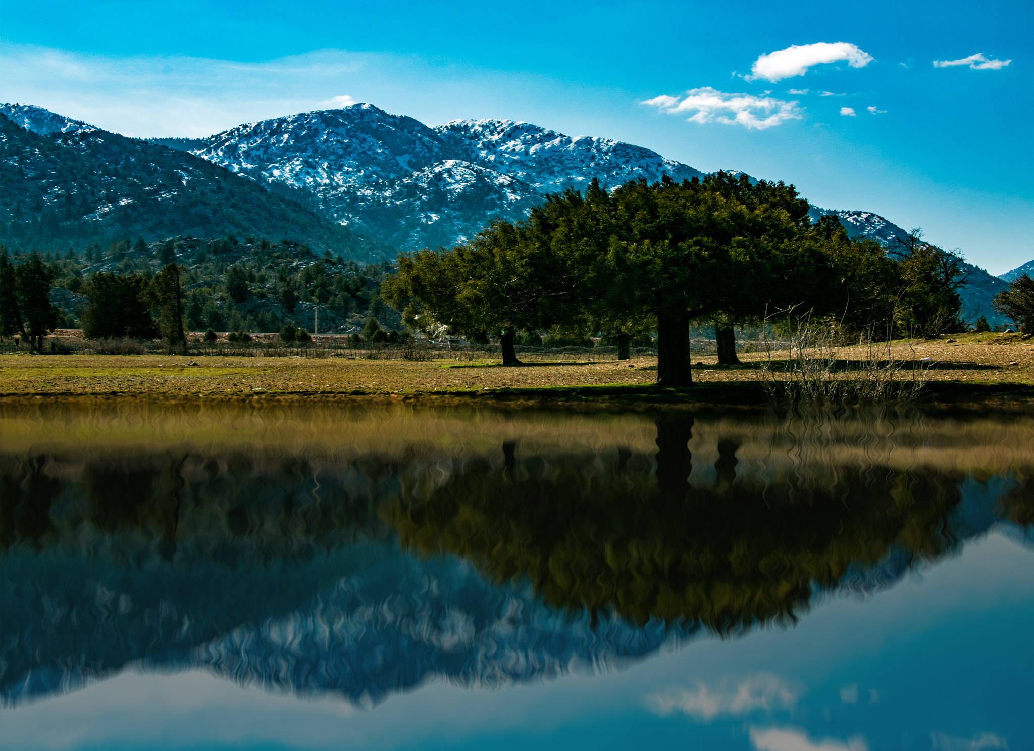 Canon EF-S 17-85mm F4-5.6 IS USM sample photo. Img photography