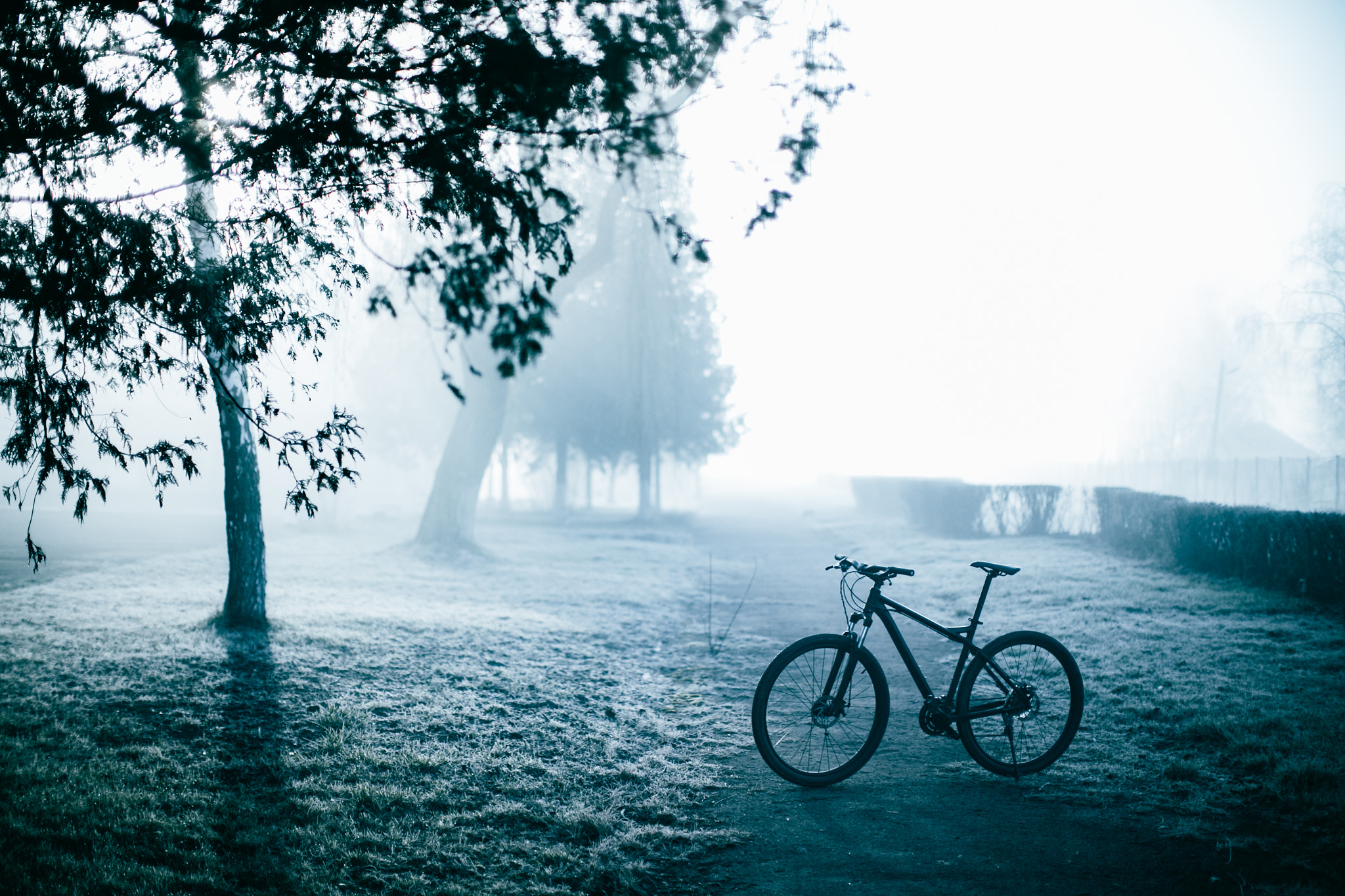 Canon EOS 6D sample photo. Cycling in the park. morning fog photography