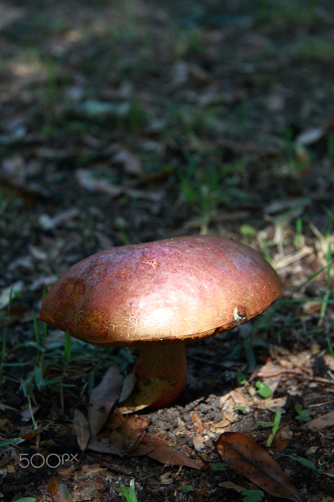 Canon EF-S 17-85mm F4-5.6 IS USM sample photo. Grad mg photography