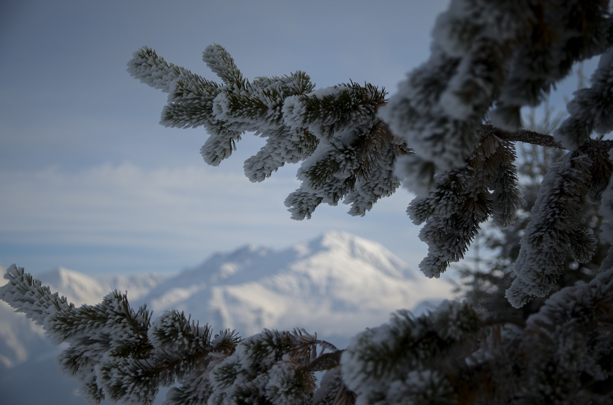 Nikon D5100 + Sigma 18-125mm F3.8-5.6 DC OS HSM sample photo. Looking through photography