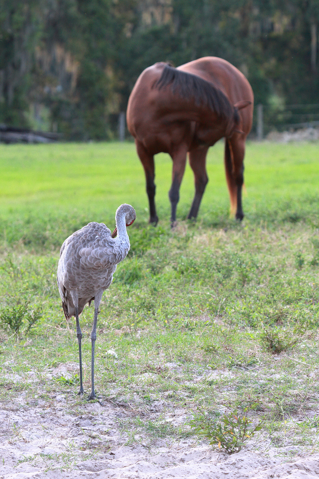 Canon EOS 7D sample photo. Mg photography