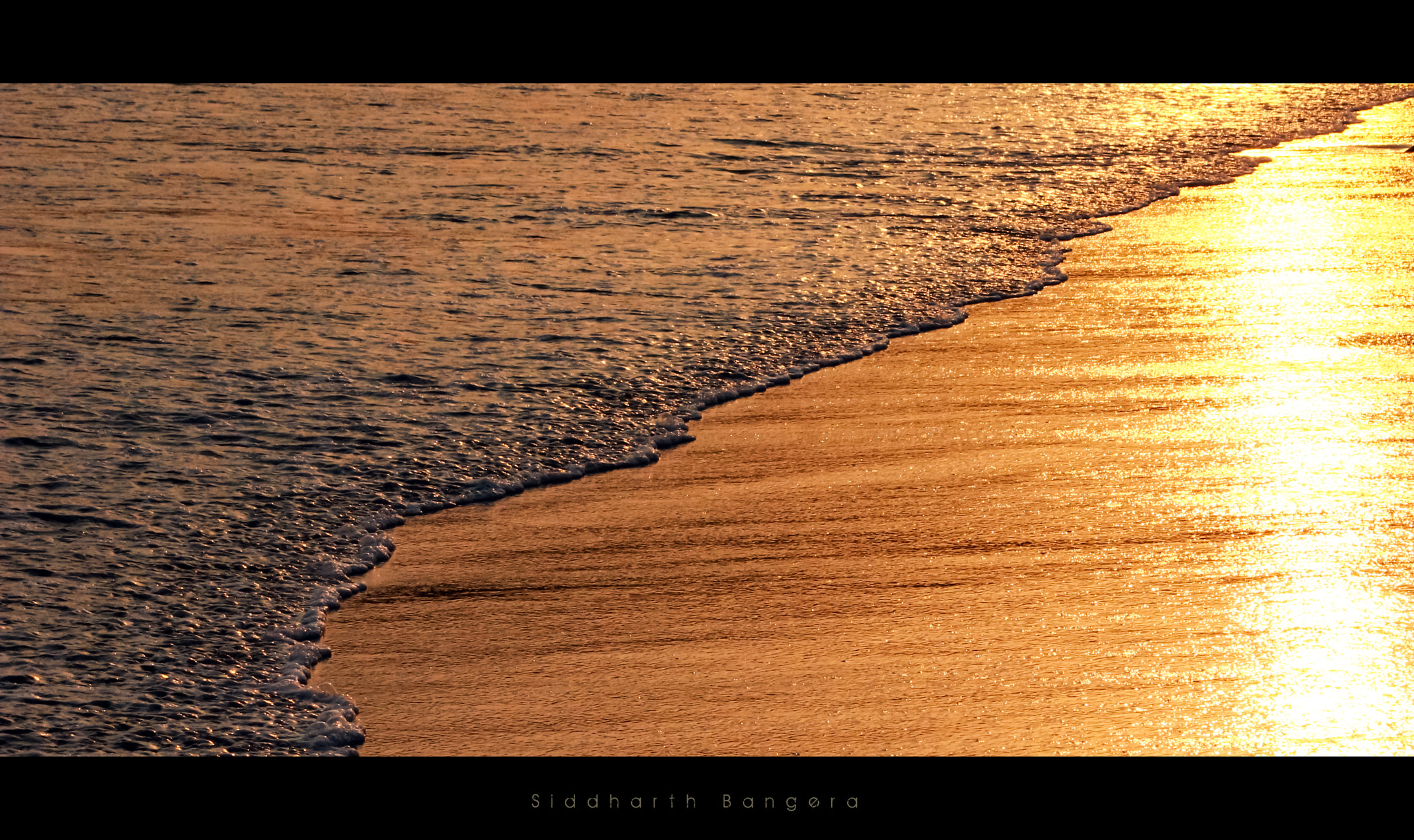 Canon EF-S 55-250mm F4-5.6 IS II sample photo. Let it go.. photography