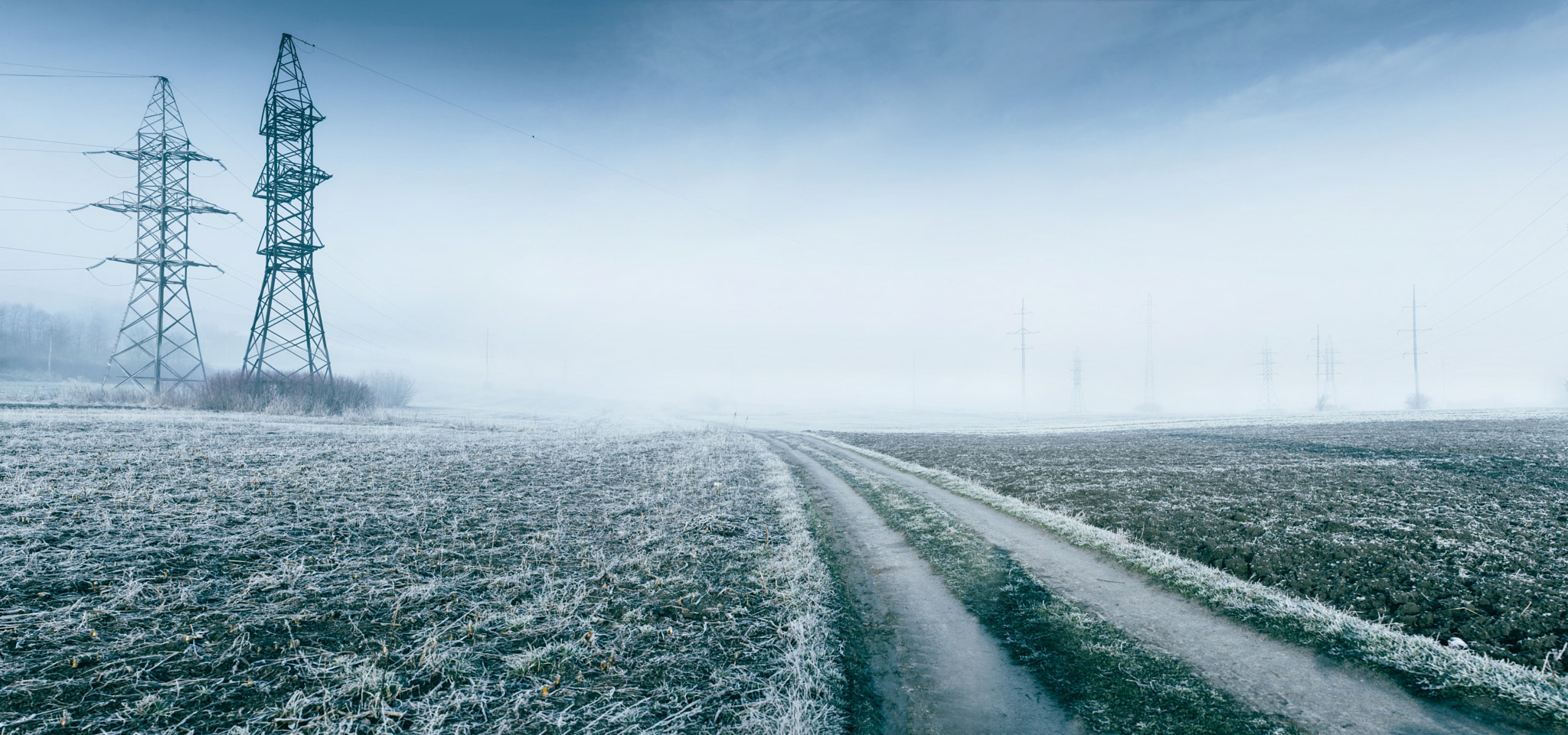 Canon EF 50mm F1.2L USM sample photo. Field in the fog. morning photography
