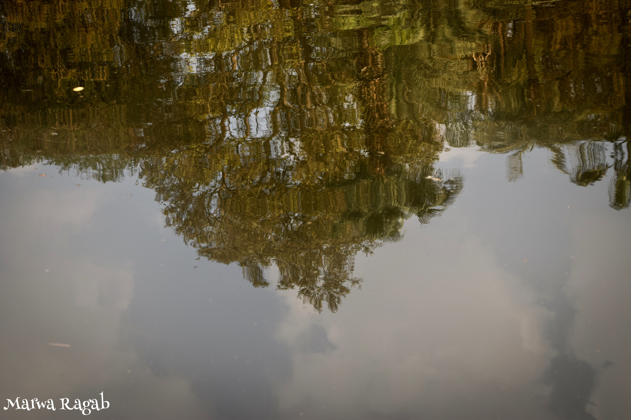 Nikon AF-S DX Nikkor 18-55mm F3.5-5.6G VR II sample photo. Reflection in a lake photography
