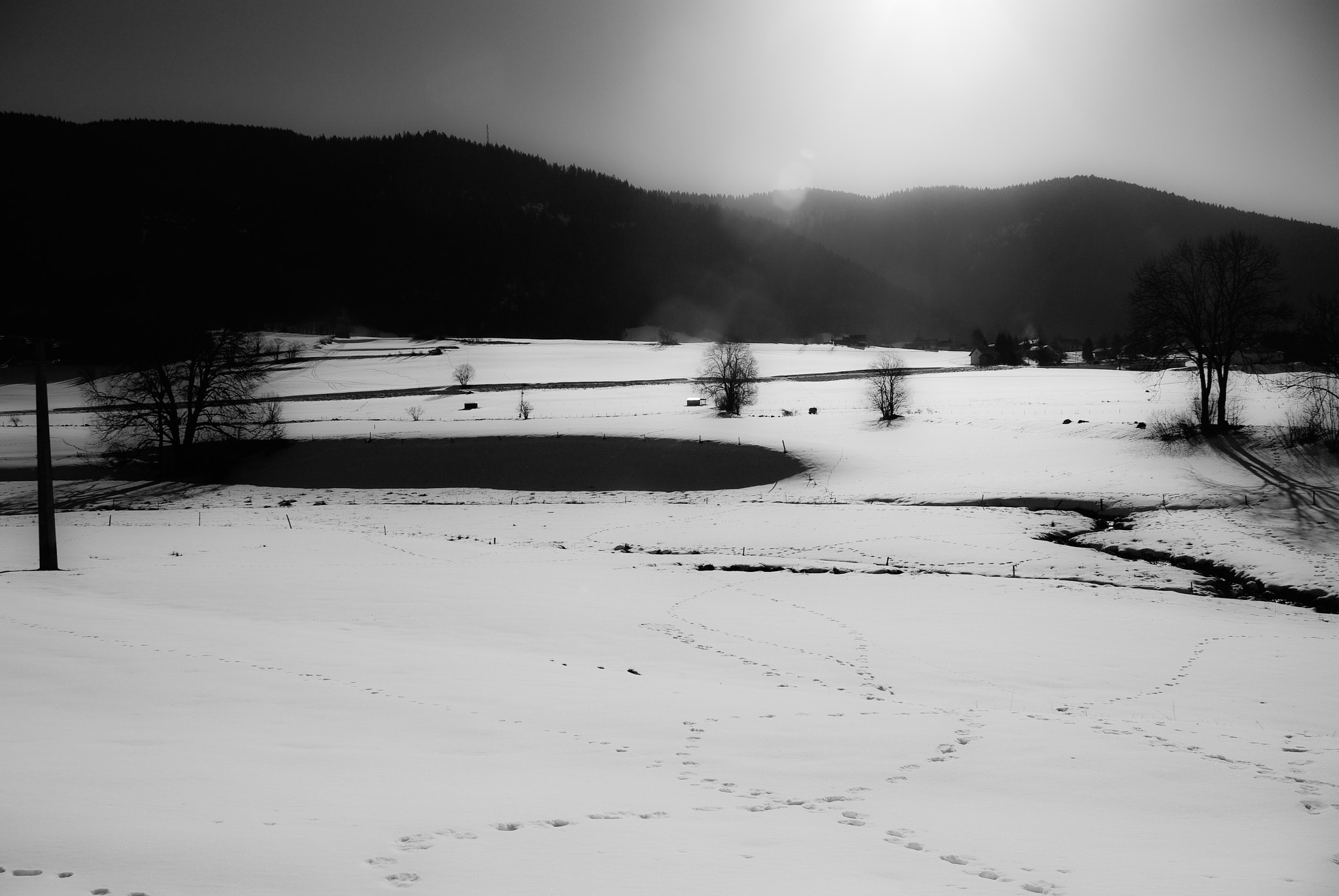 Pentax K200D sample photo. Neige n&b photography