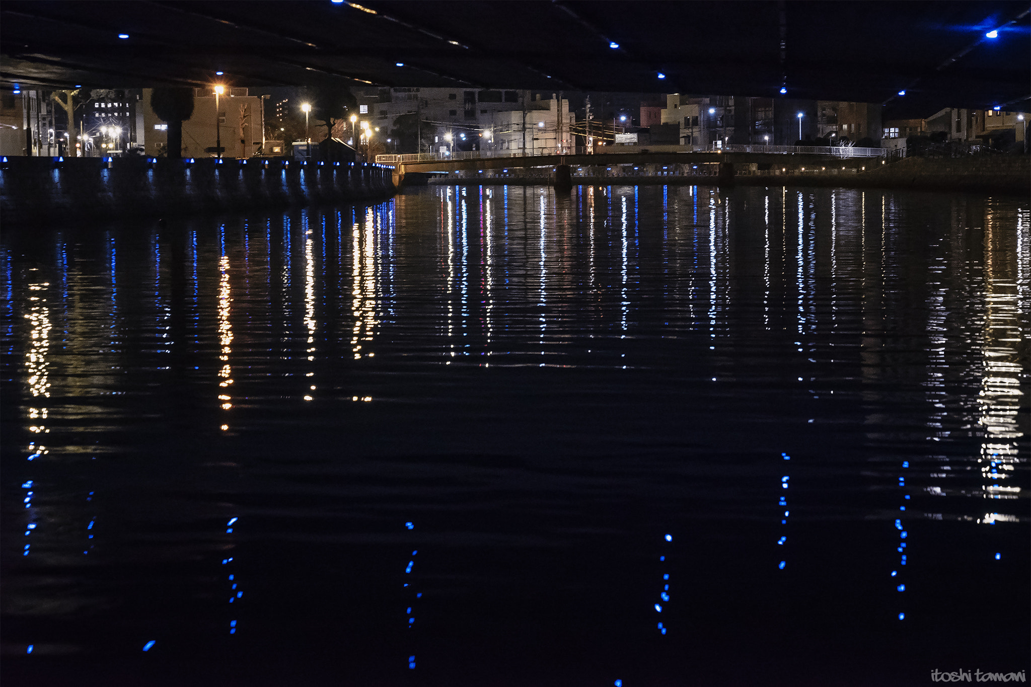 Sony a7S II + Sony FE 24-70mm F2.8 GM sample photo. Tokushima led art festival 2016 / e14 photography