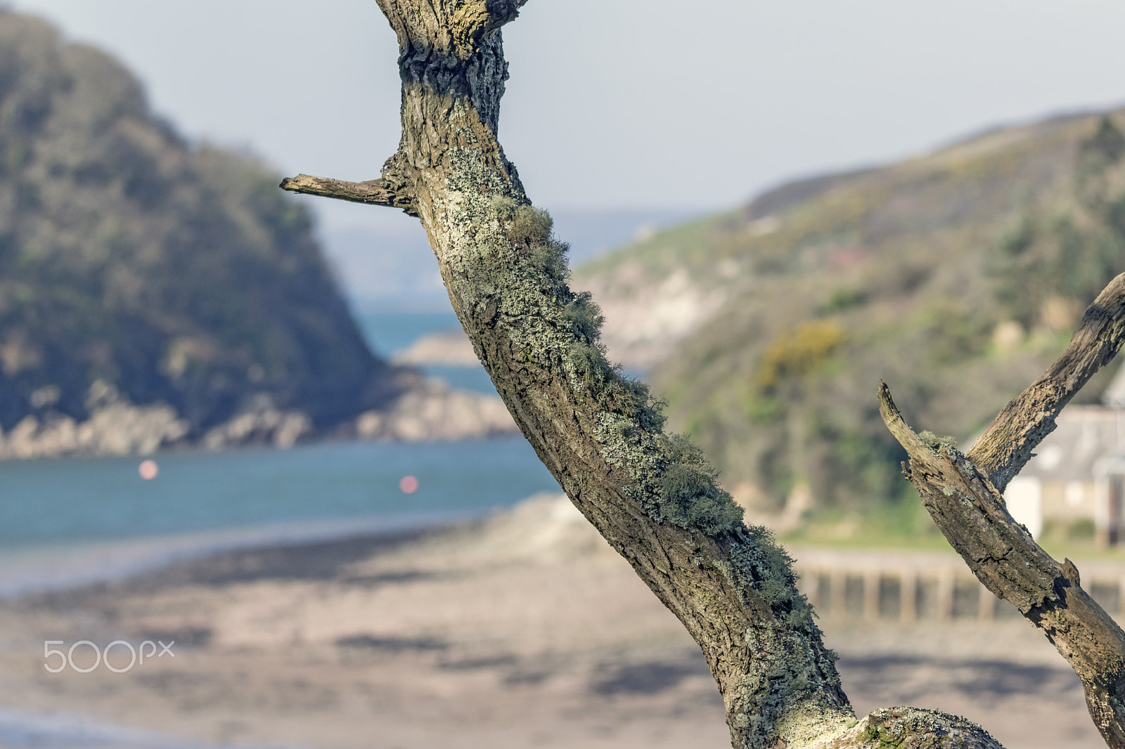 Nikon D3300 sample photo. Noss mayo river yealm photography