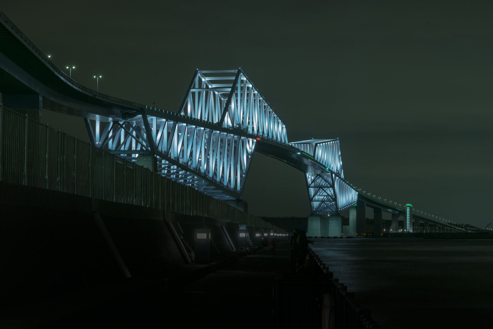 Nikon D750 + Nikon AF-S Nikkor 85mm F1.4G sample photo. Tokyo gate bridge photography