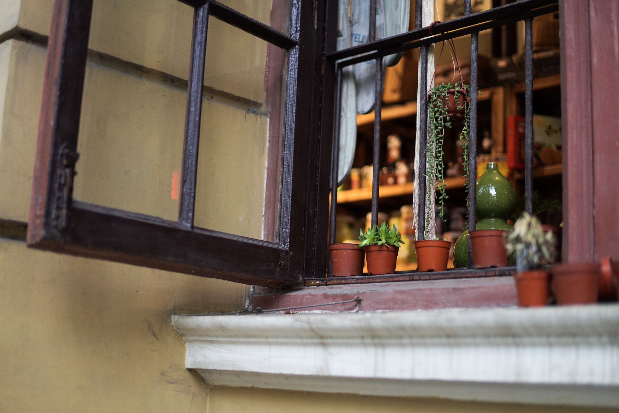 Sony Planar T* 50mm F1.4 ZA SSM sample photo. 橱窗 photography