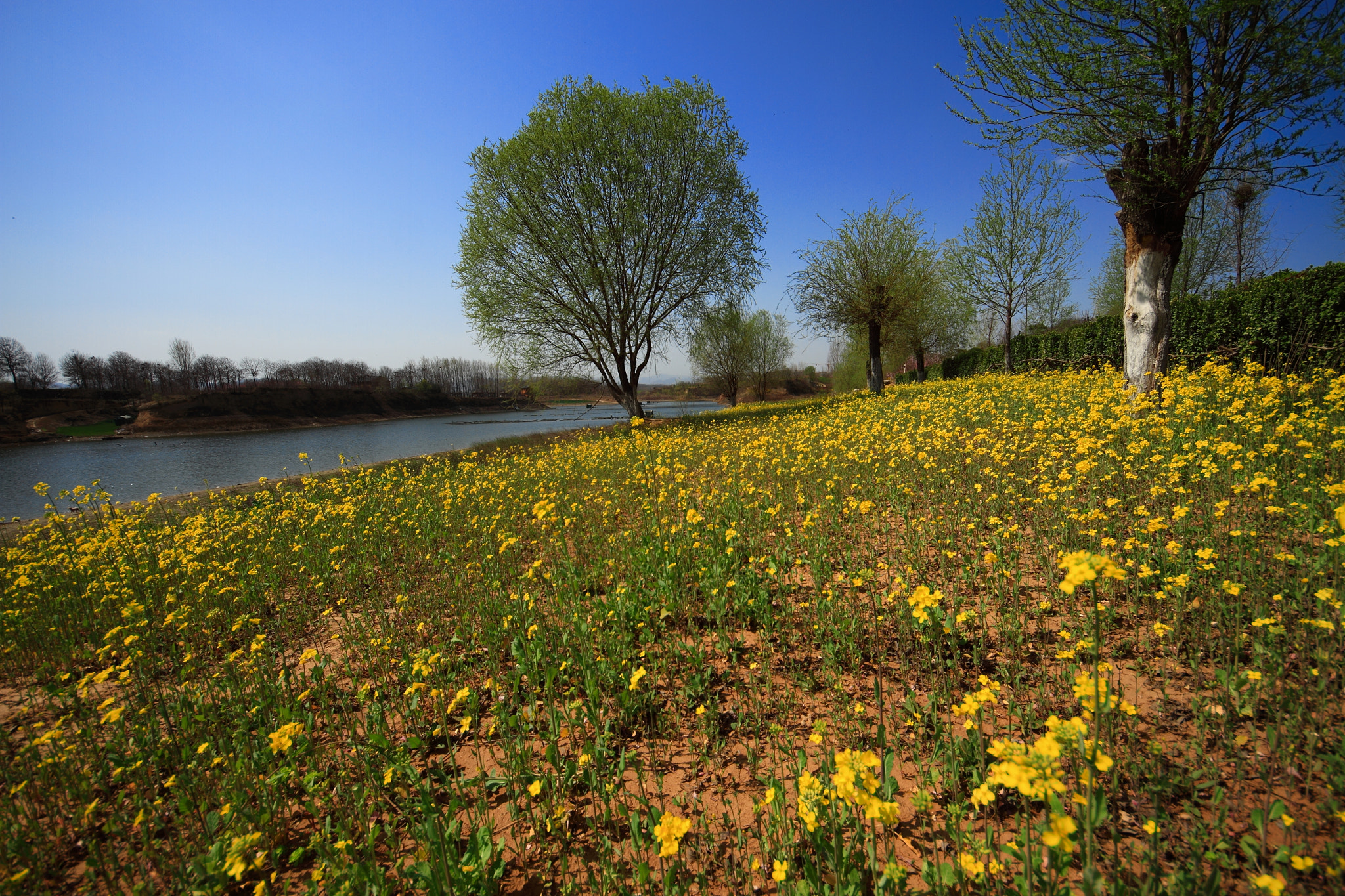 Sigma 8-16mm F4.5-5.6 DC HSM sample photo. 万山湖踏青 photography