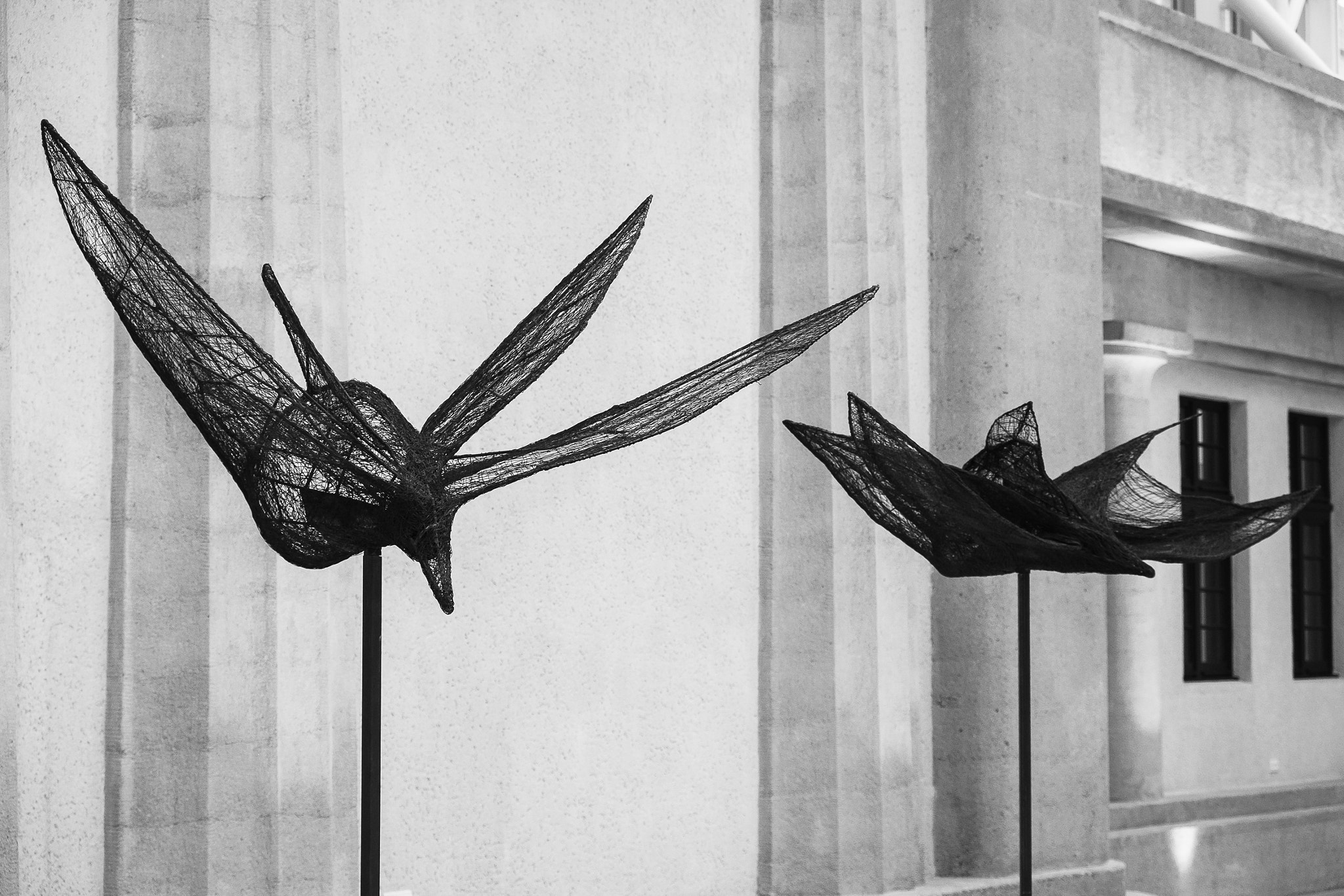 Fujifilm X-Pro1 + Fujifilm XF 18-55mm F2.8-4 R LM OIS sample photo. Installtion art with birds photography
