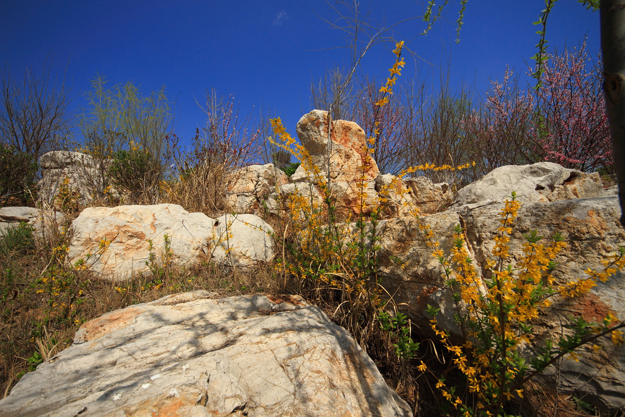 Canon EOS 7D + Sigma 8-16mm F4.5-5.6 DC HSM sample photo. 万山湖踏青 photography