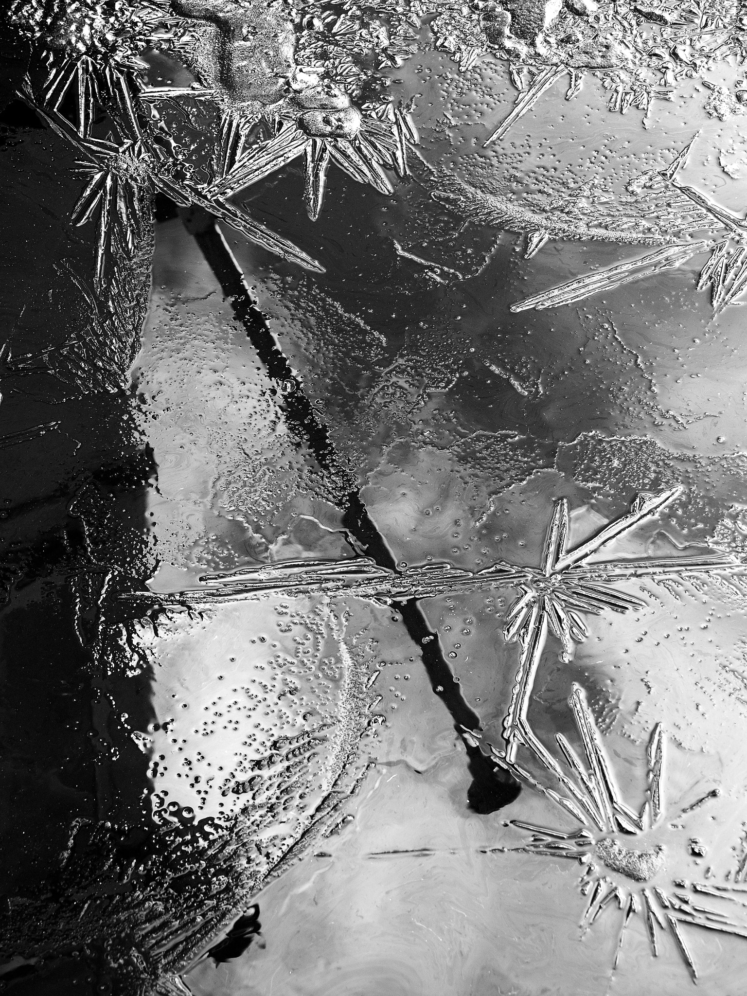 Olympus OM-D E-M5 sample photo. Ice crystals photography