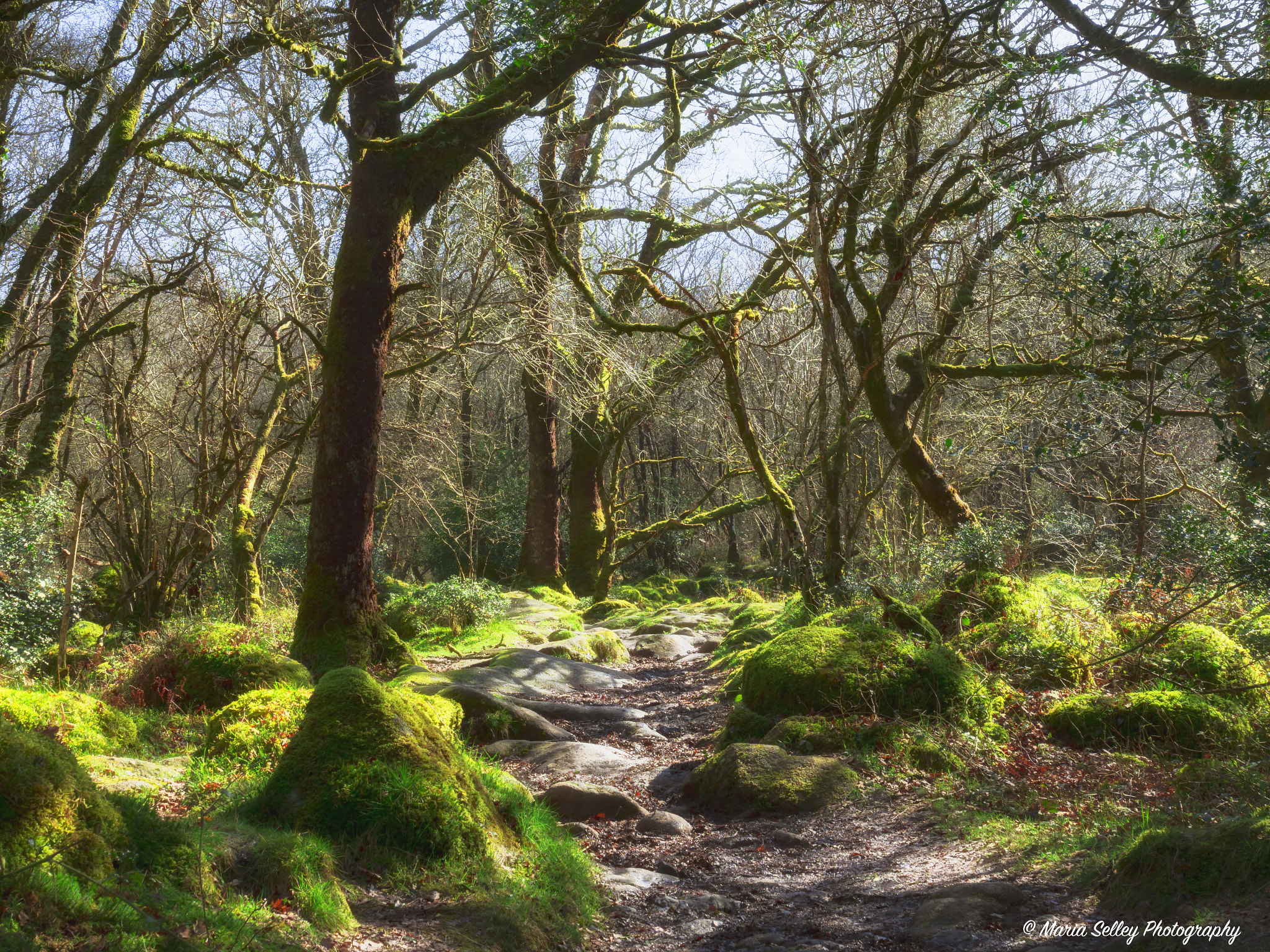 Olympus OM-D E-M1 Mark II + Olympus M.Zuiko Digital ED 12-40mm F2.8 Pro sample photo. Path to adventure photography