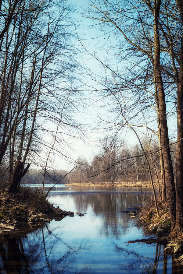 Canon EOS 80D sample photo. Auwaldsee photography