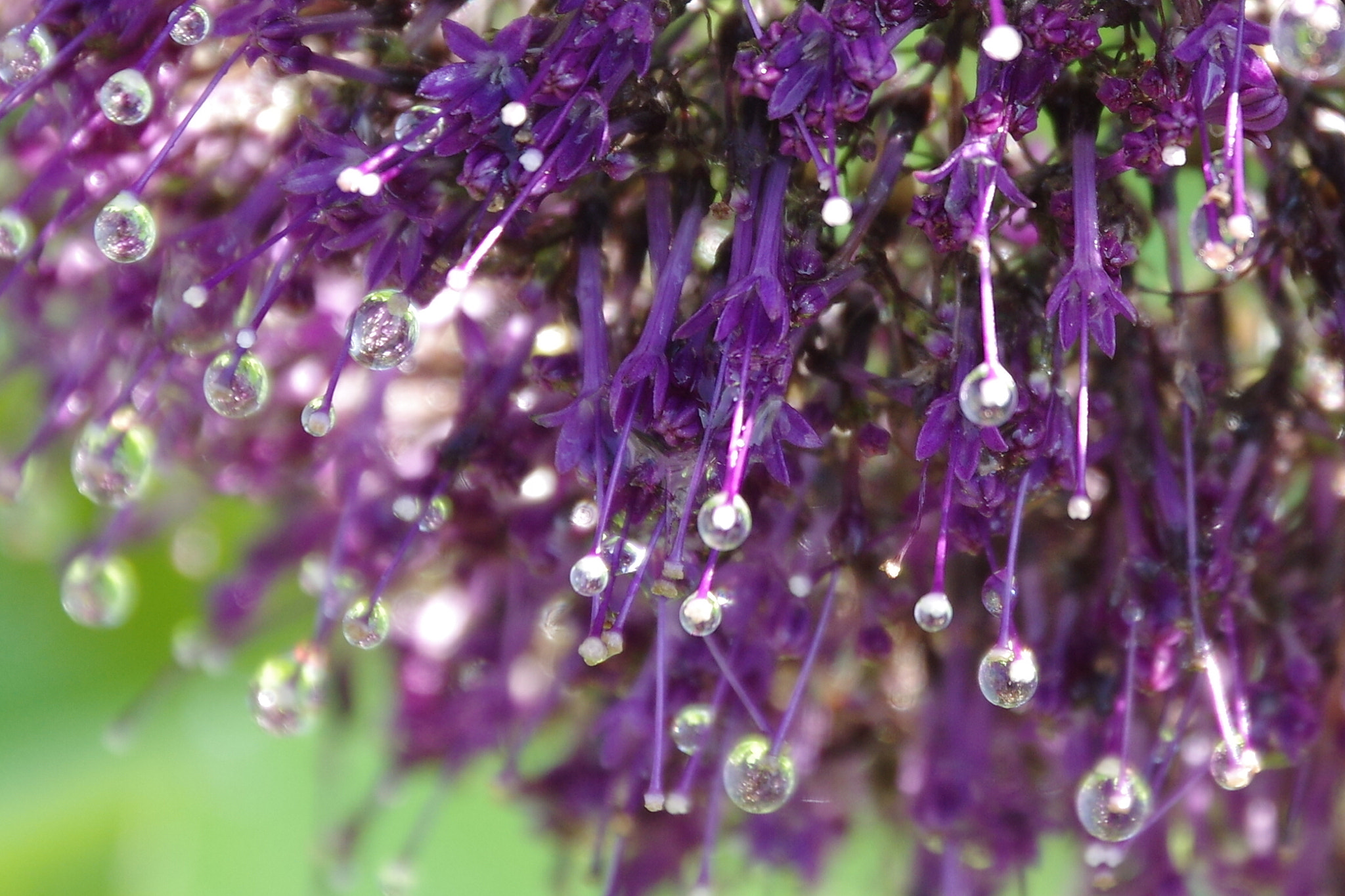 Pentax K-3 II sample photo. Amazing journey photography