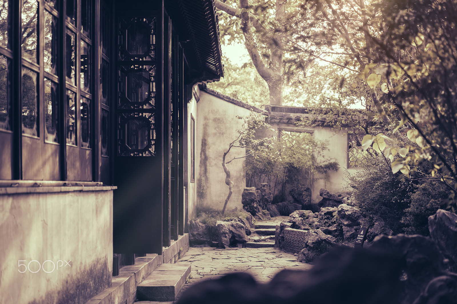 Sony a7R + Sony Sonnar T* FE 55mm F1.8 ZA sample photo. Secret garden photography
