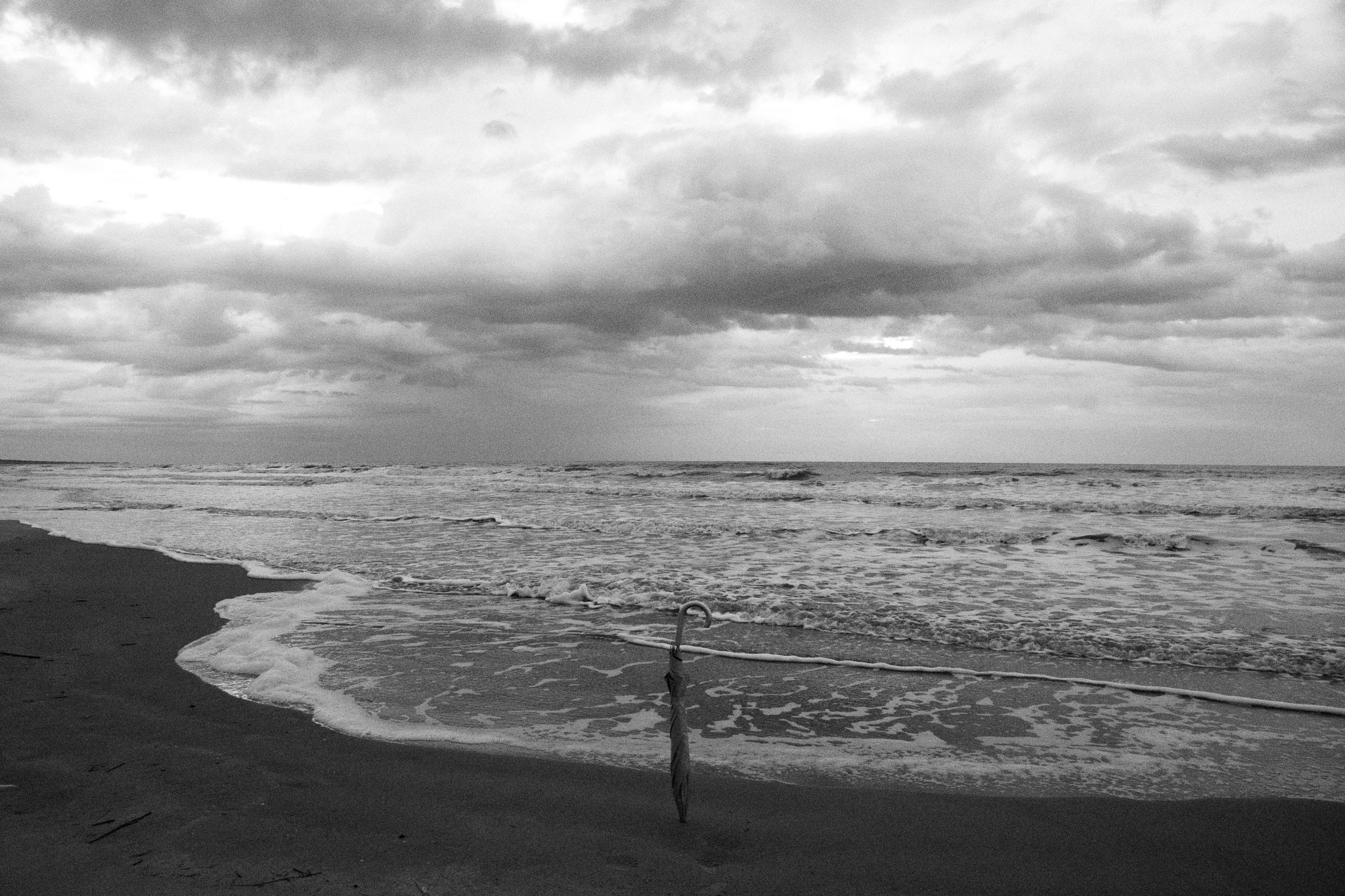 Nikon D500 sample photo. Still at kiawah photography
