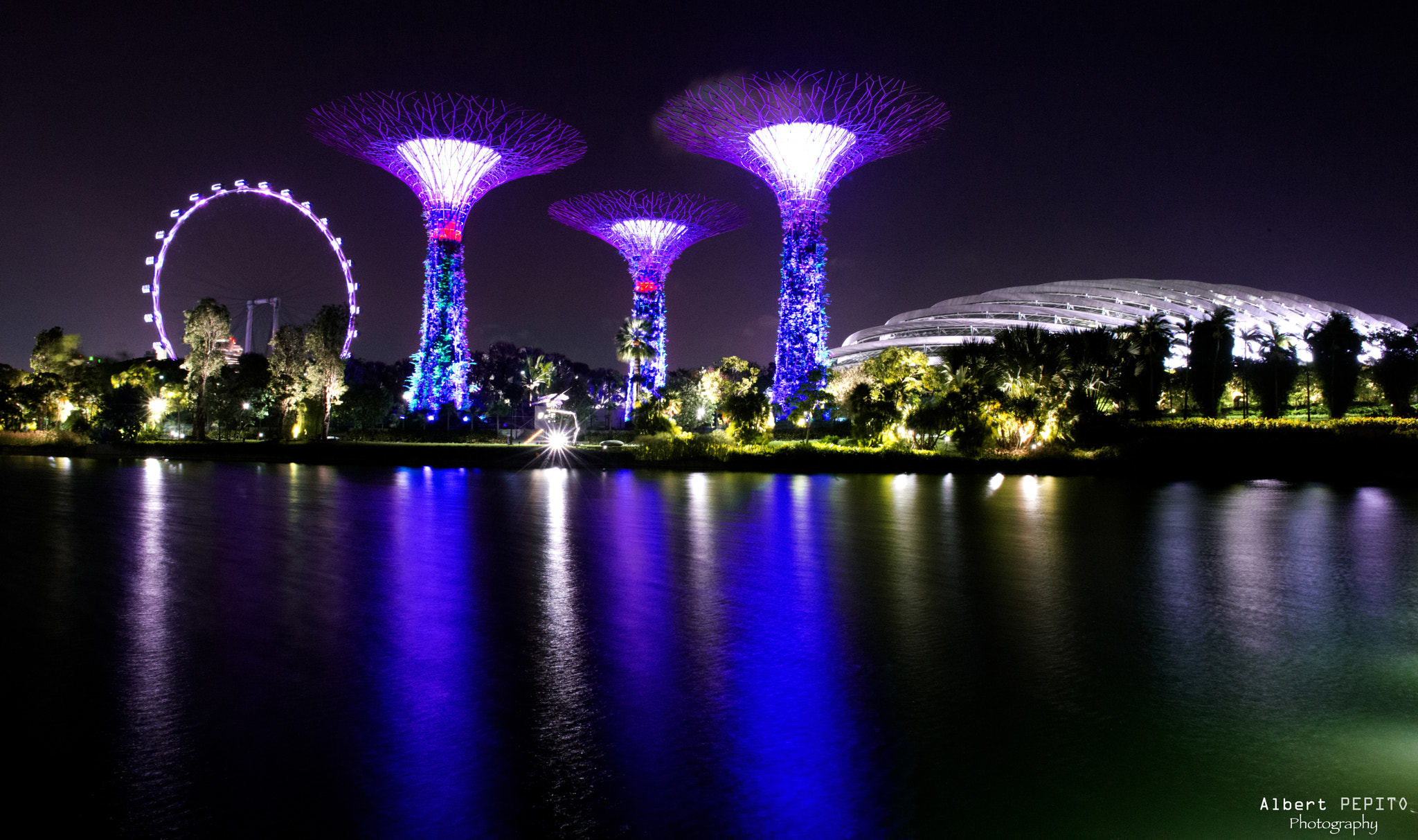 Nikon AF-S Nikkor 24-70mm F2.8G ED sample photo. Gardens by the bay photography