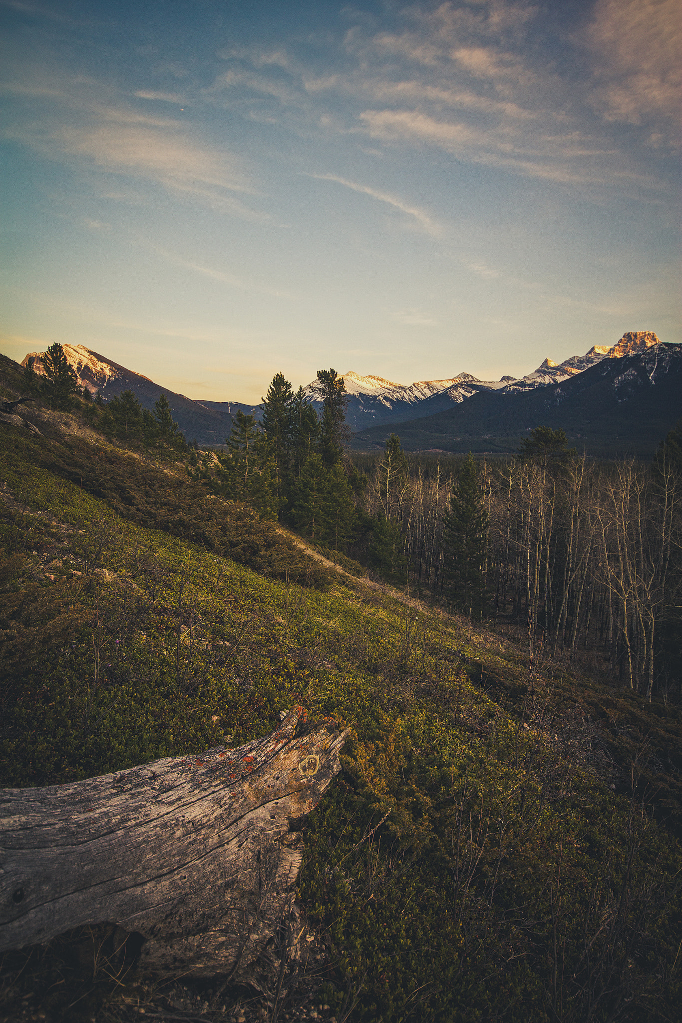 Canon EOS 60D + Sigma 10-20mm F4-5.6 EX DC HSM sample photo. Meadows of the king photography
