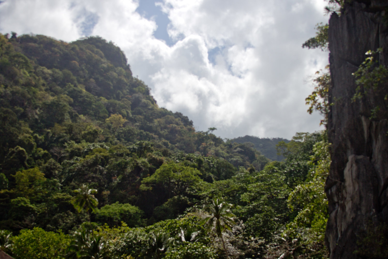 Canon EF 28-135mm F3.5-5.6 IS USM sample photo. Journey into el nido, philippines photography