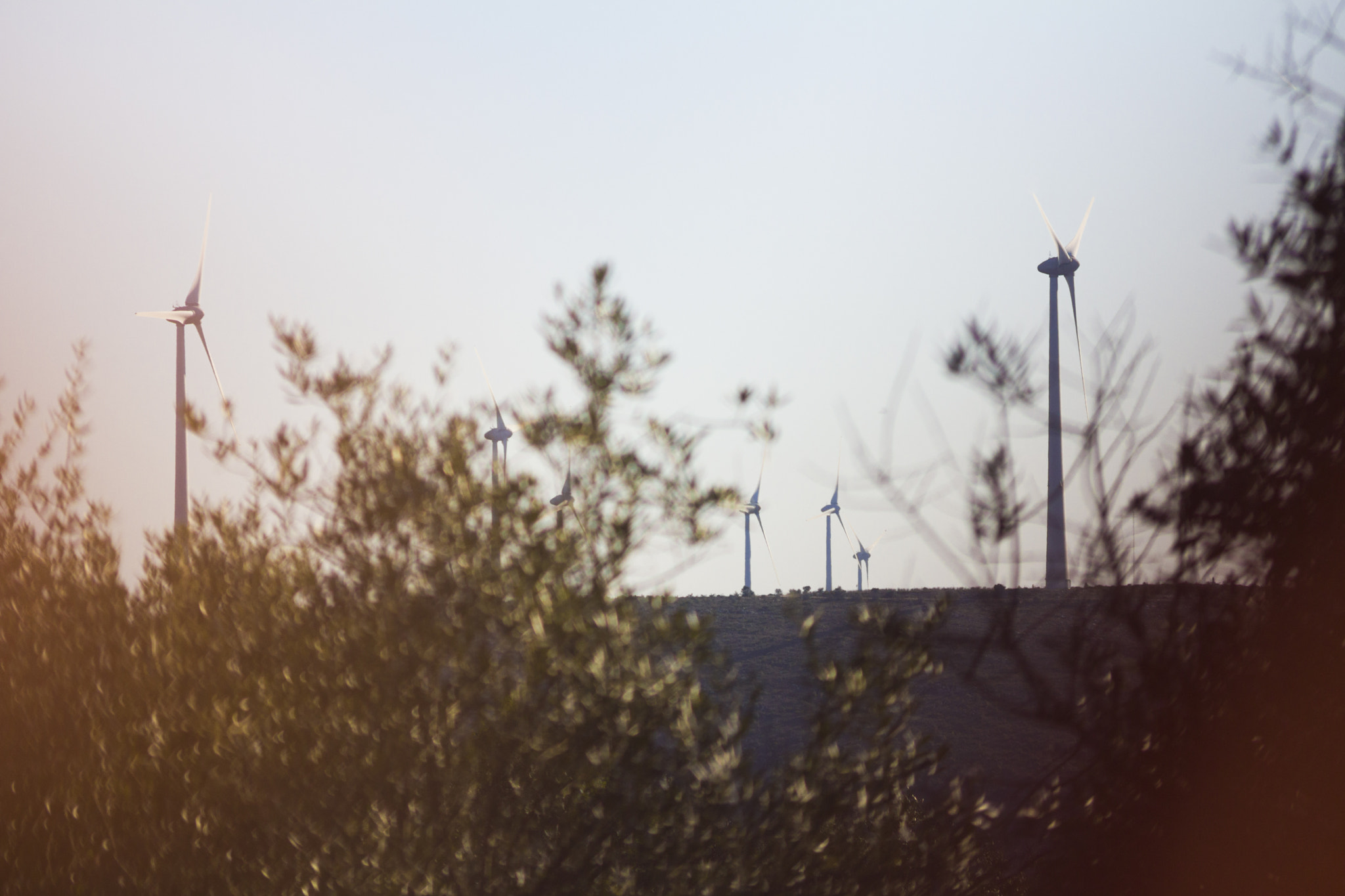 Canon EOS 60D sample photo. Wind monsters photography