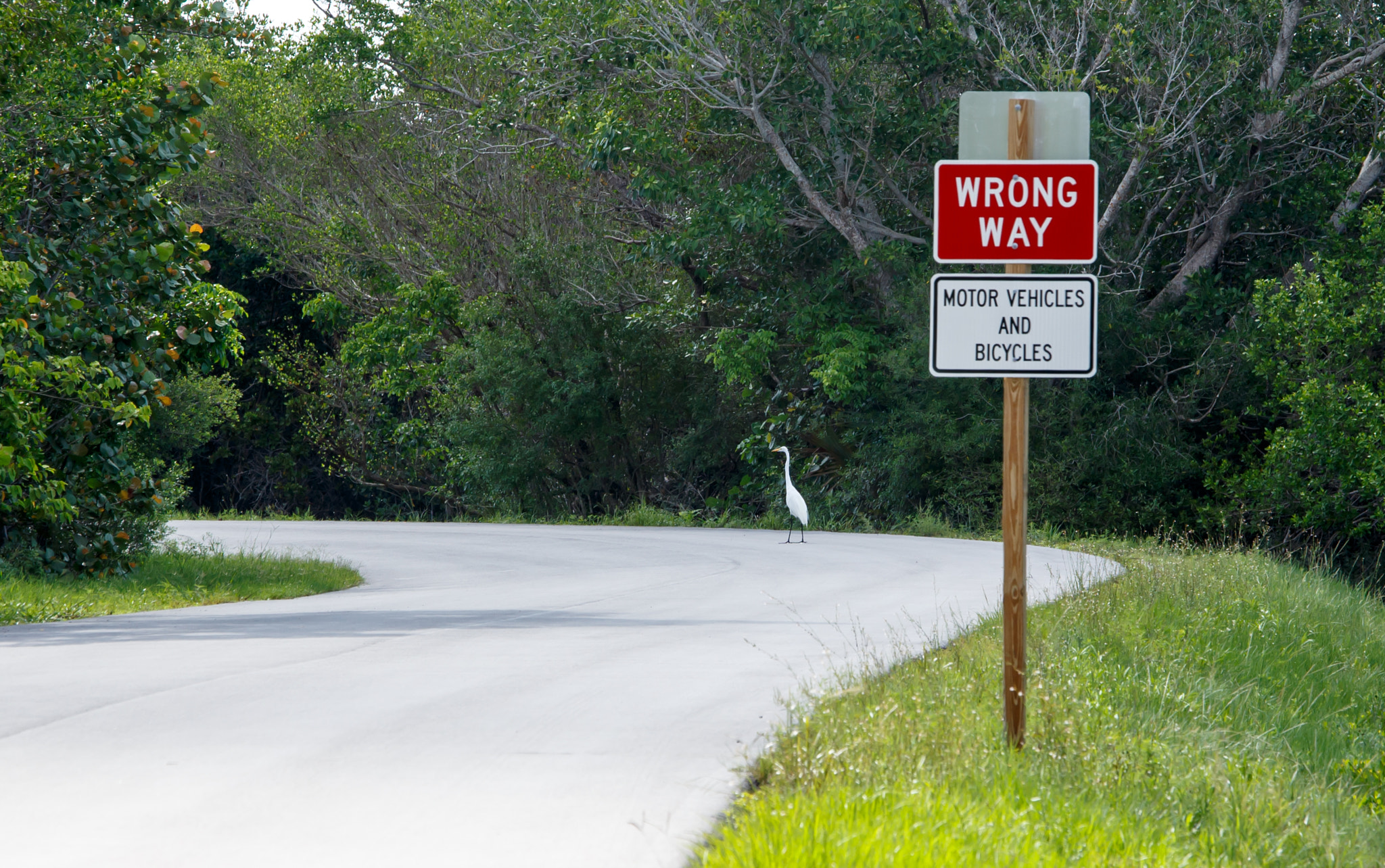 Canon EOS 6D + Canon EF 70-200mm F4L IS USM sample photo. Wrong way crane photography