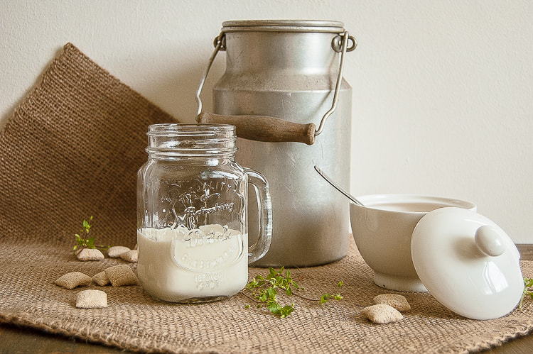 Nikon D70 sample photo. Sweets and milk photography