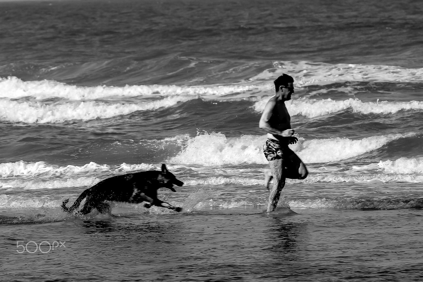 Canon EOS 7D + Canon EF 70-200mm F4L USM sample photo. Catch me if........you can? photography