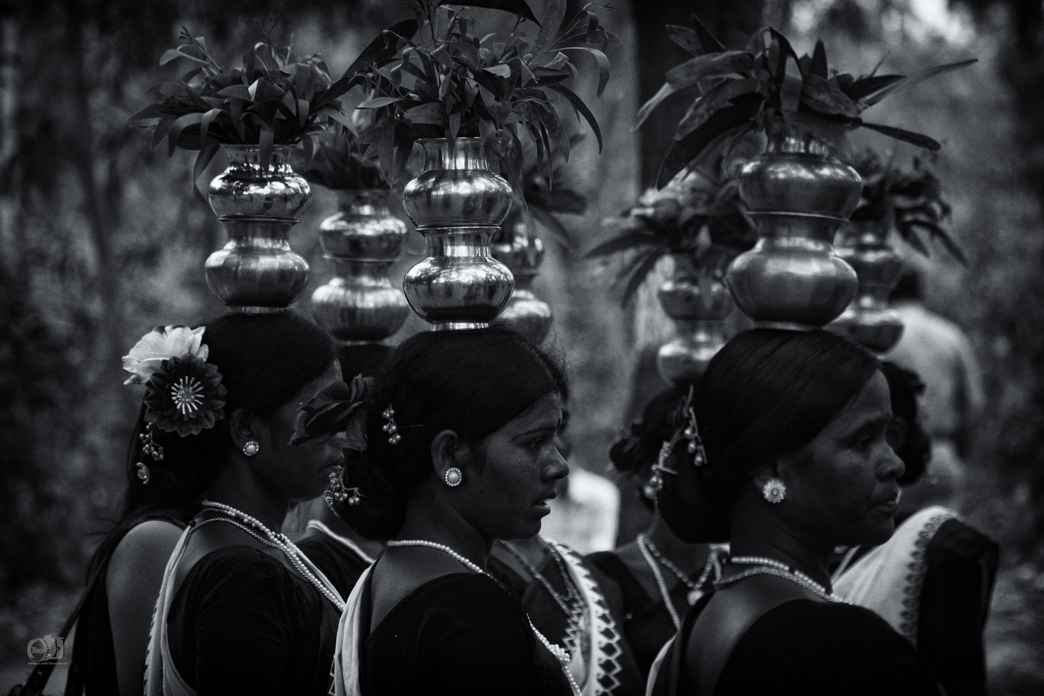Nikon D5500 sample photo. Lined up! photography