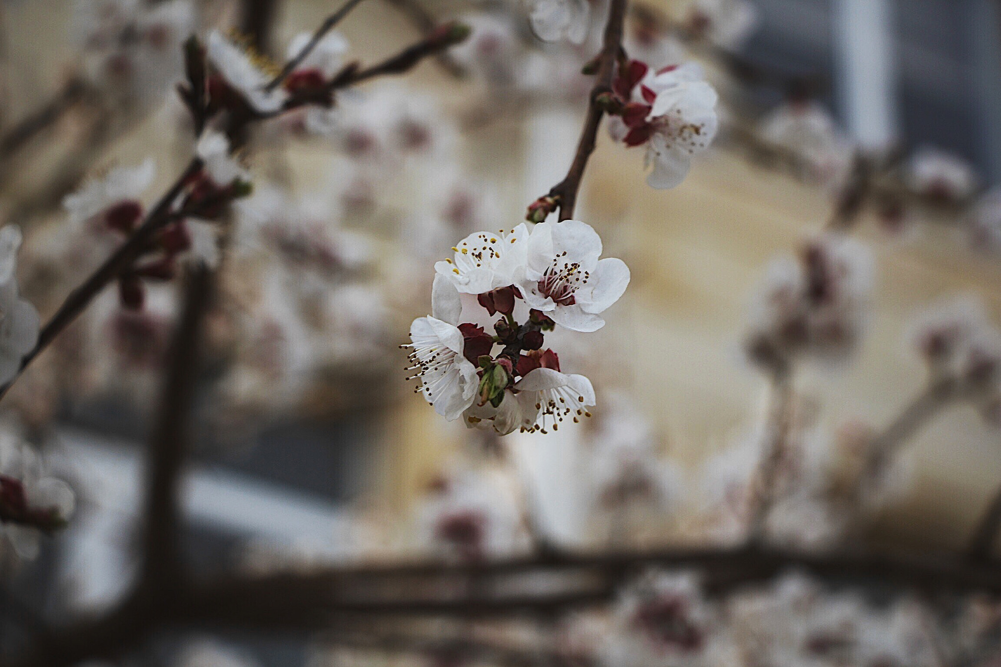 Canon EOS 60D sample photo