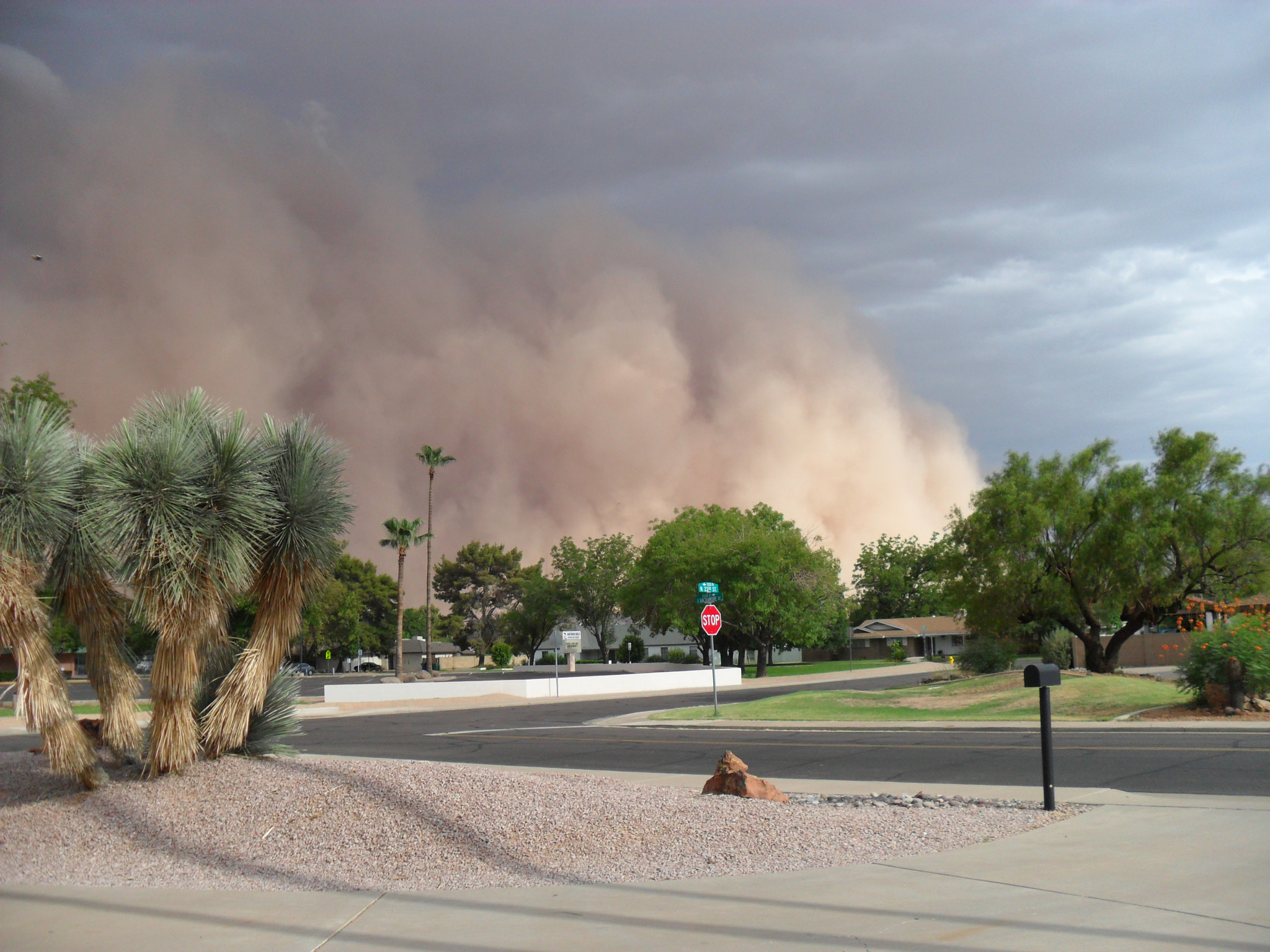 Samsung PL100 /  TL205 / VLUU PL100 /  PL101 sample photo. Dust storm photography
