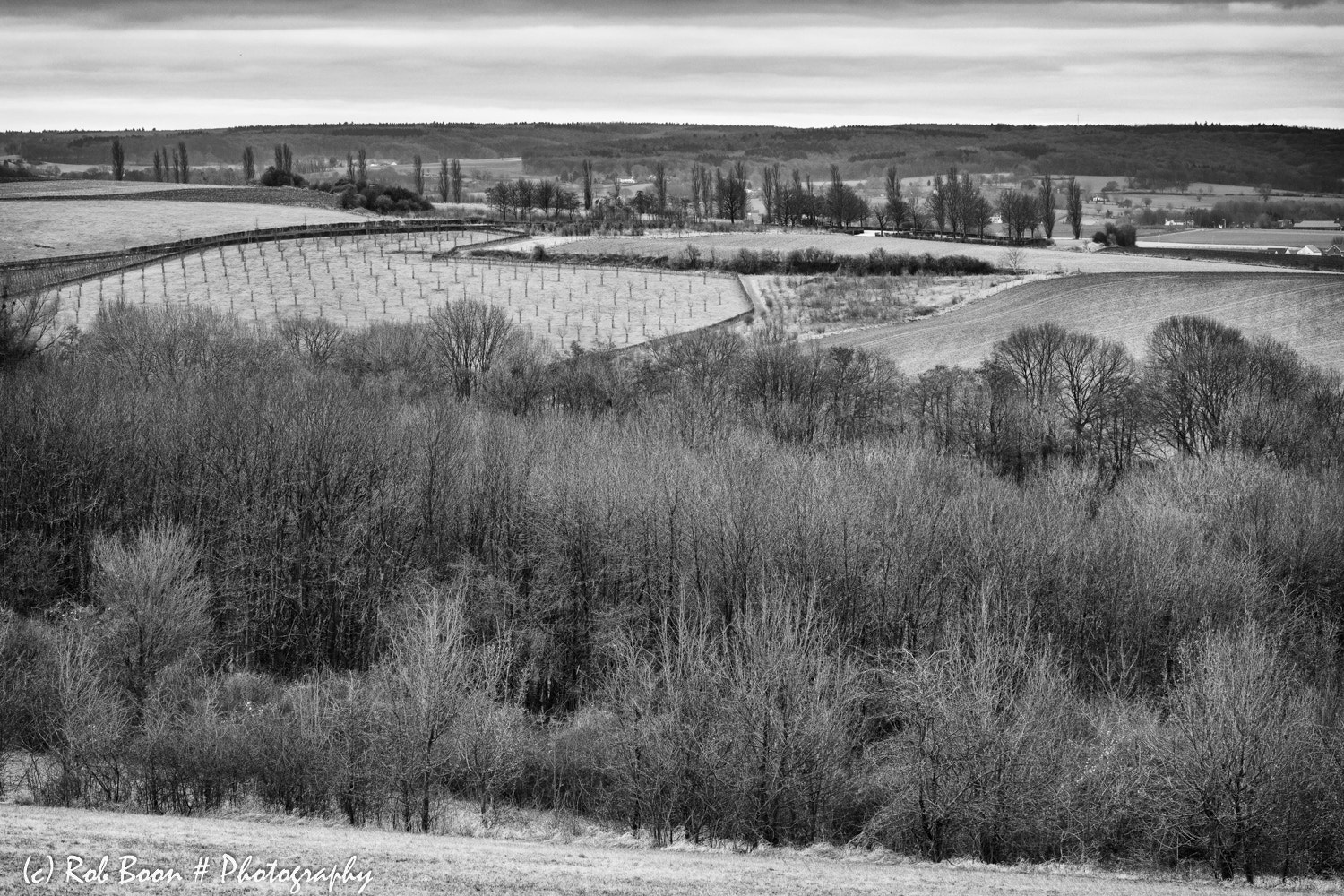 Canon EF 100mm F2.8L Macro IS USM sample photo. Little tuscany @ eyserbos photography