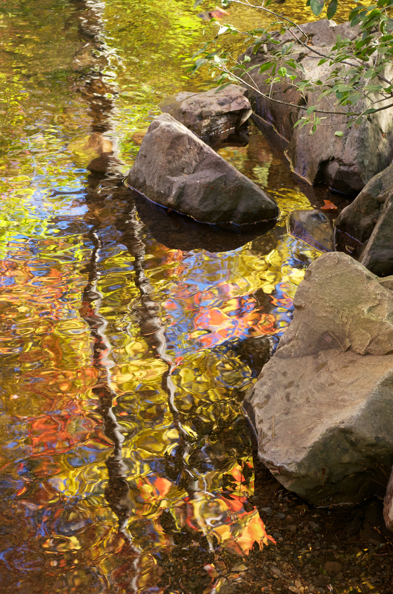 Pentax smc DA 18-55mm F3.5-5.6 AL sample photo. Fall scenic (2014) photography
